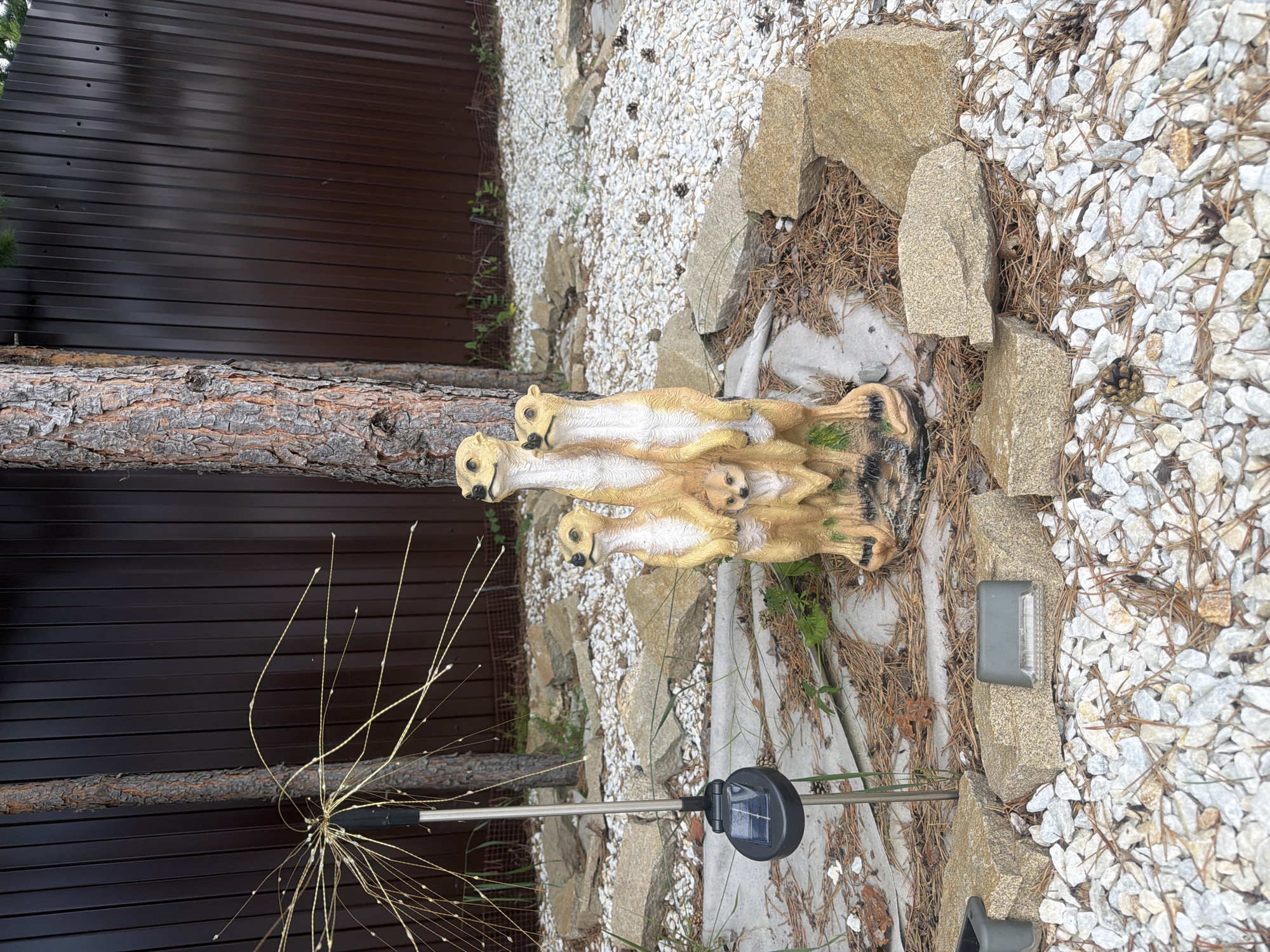 In Колюткино, Russia, an outdoor scene depicts a statue of meerkats standing on a decorative stone and pebble ground. The meerkats, positioned near the base of a mature pine tree, are rendered in a light brown and yellow hue, with intricate detailing on their fur. A small solar-powered light pole with a decorative light feature is visible to the left of the meerkats, adjacent to the tree. In the background, a dark brown corrugated metal fence stands tall, separating the yard from the surrounding area. The ground is covered with a mix of white pebbles, pine needles, and various sized stones, some of which are arranged around the meerkat statue. Small green plants are sparsely scattered amongst the ground cover. The overall impression is a neatly arranged garden or yard, with a focus on natural elements and decorative garden art.
