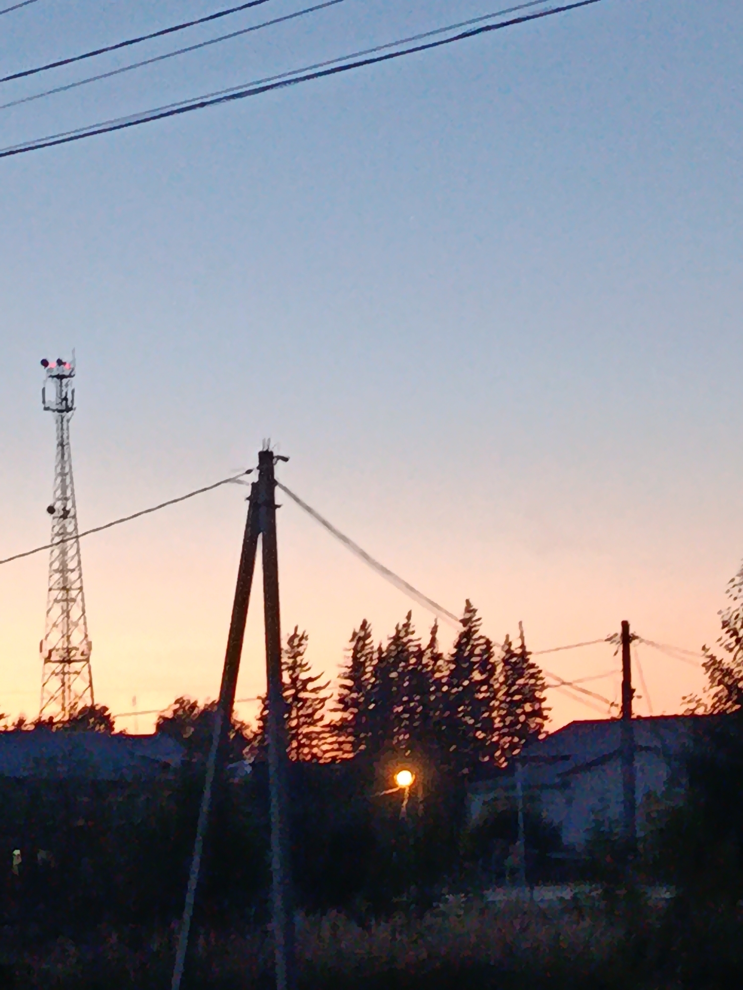 The image captures a twilight scene with a clear sky displaying hues of blue and orange. In the foreground, silhouetted trees and structures are visible. A prominent cell tower, a utility pole with wires, and another smaller pole are key features. A single street light is illuminated amidst the trees. The background shows the outline of buildings and more trees. The overall impression is a rural or suburban landscape at dusk. The specific location in Verea, Russia, is not visually identifiable from the image itself.