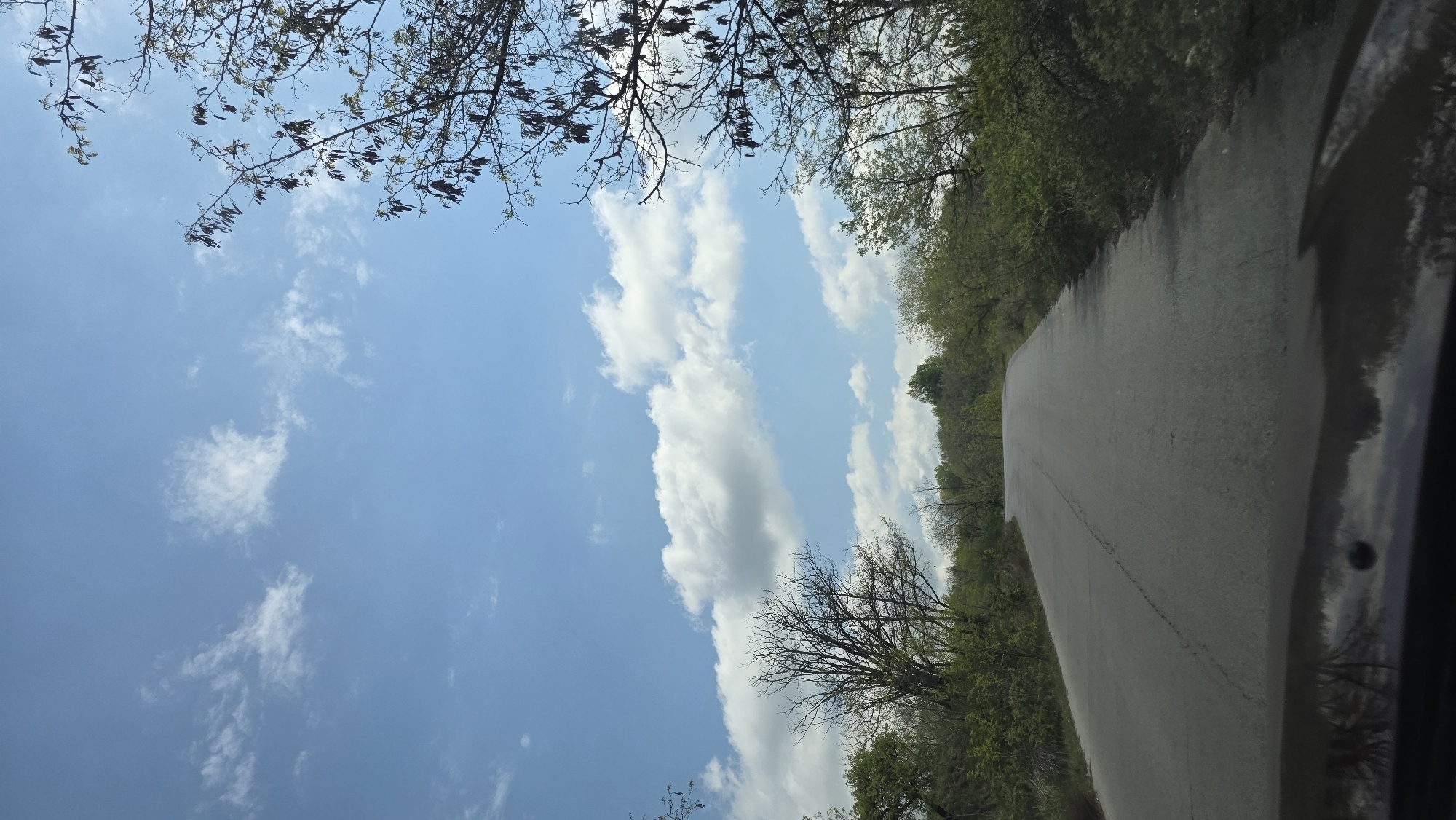 The image shows a view from a moving vehicle on a rural road. The sky is blue with white clouds, partially obscured by tree branches in the upper left corner. The road is grey and appears to be asphalt. Trees line both sides of the road. The right side of the frame includes a reflection on the vehicle's window. The location cannot be confirmed as Harsovo, Bulgaria.