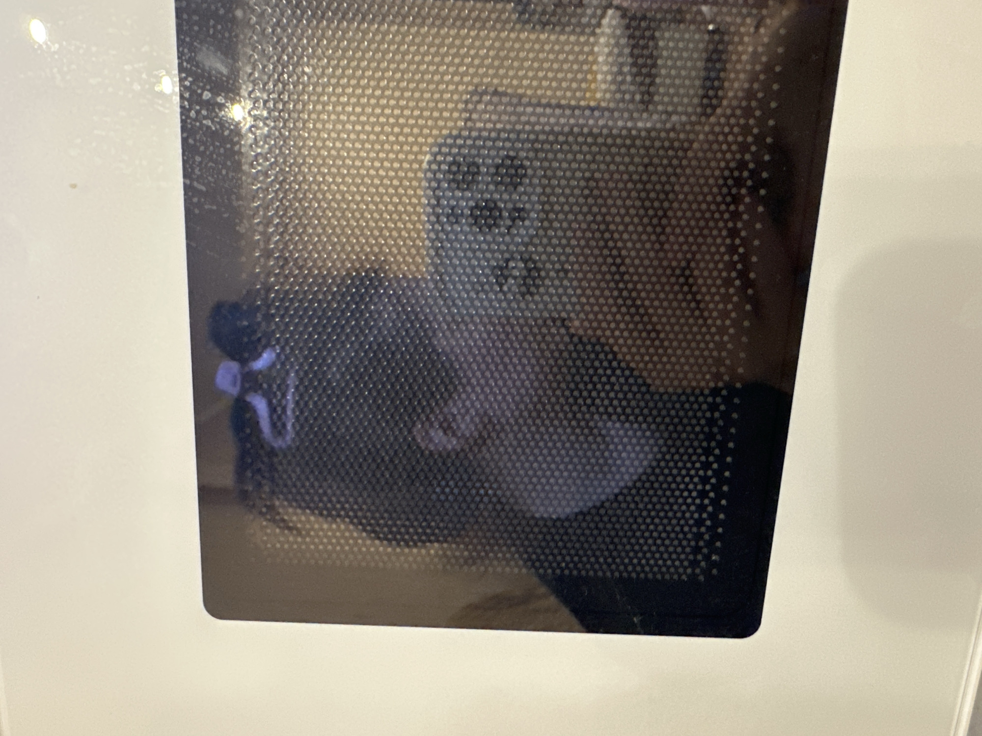 The image shows a blurred reflection in what appears to be a microwave door. The reflected scene seems to include a person holding a cellular phone, likely taking the photo. The background of the reflection is out of focus but suggests an interior space with vertical architectural elements. The microwave itself is white, with a dark-tinted and perforated door. Without additional information or higher resolution, it is impossible to determine the location in Nizhny Novgorod or any specific details about the people involved.