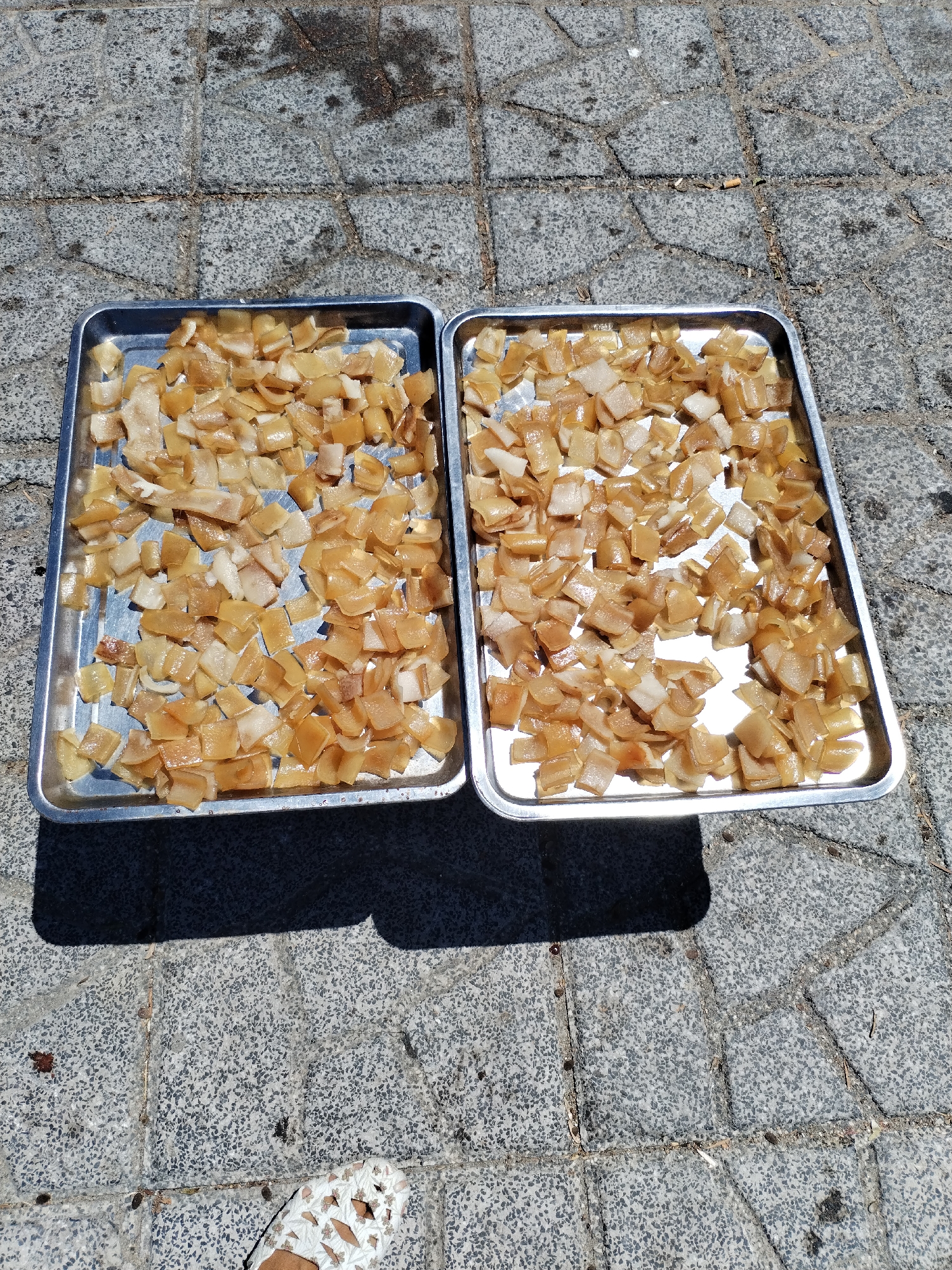 The image shows two aluminum trays filled with small, irregularly-shaped, translucent, yellowish pieces of what appears to be pork skin. The trays are set on a gray, tiled surface under bright sunlight. Shadows cast by the trays are visible on the tiles. The surface resembles a sidewalk or patio. The location is inferred to be in Bac Nha Trang Ward, Vietnam, based on the image's origin. A glimpse of a person's foot wearing a patterned white shoe is visible in the lower right corner of the frame. The primary action is the apparent drying of the food under the sun.