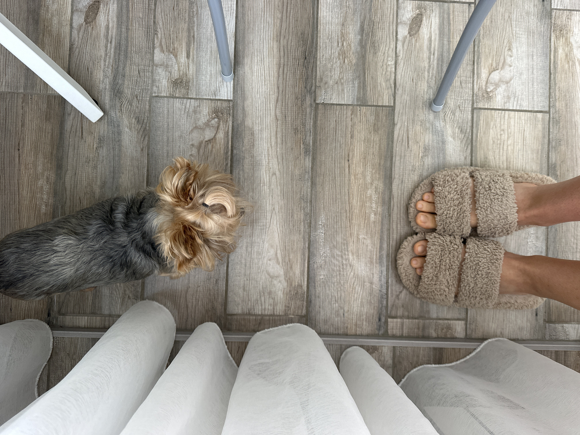 A top-down shot shows a section of a room with light gray wood-look tile flooring. In the upper left, a white chair leg is partially visible. A Yorkshire Terrier is positioned near the bottom left with a gray body and tan head. A gray chair leg is in the upper right area of the shot. A pair of feet wearing beige fuzzy slippers is visible on the right side of the shot. The bottom of the frame shows gathered white fabric. No specific evidence indicates this photo was taken in Sochi, Russia.