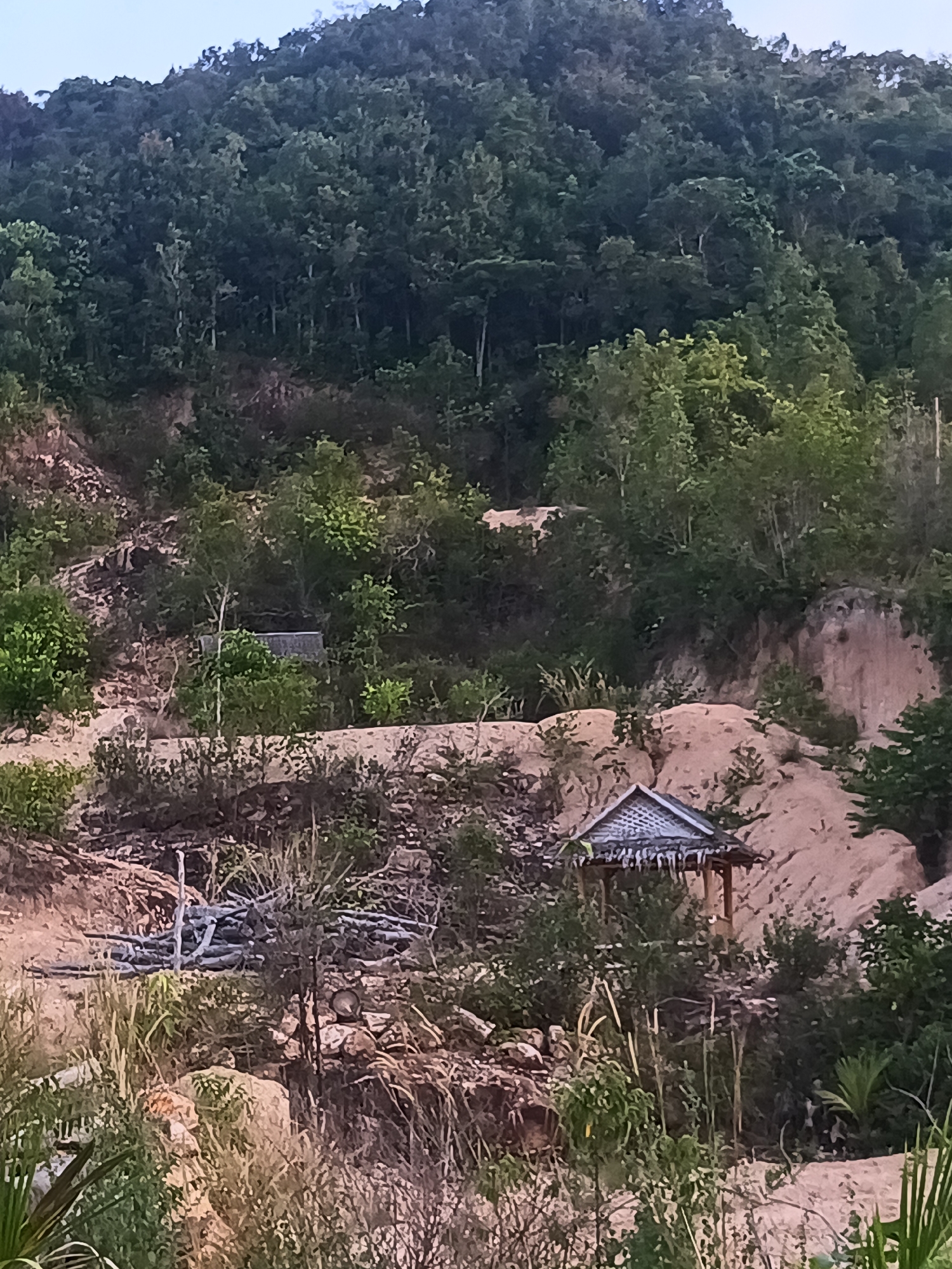 The image depicts a landscape in Moo 4, Thailand, featuring a dense, forested hill as a backdrop. The midground consists of an eroded slope with sparse vegetation, including shrubs and small trees, and areas of exposed soil. The foreground shows more detailed ground cover, including grasses, dried vegetation, and a small wooden structure with a thatched roof.