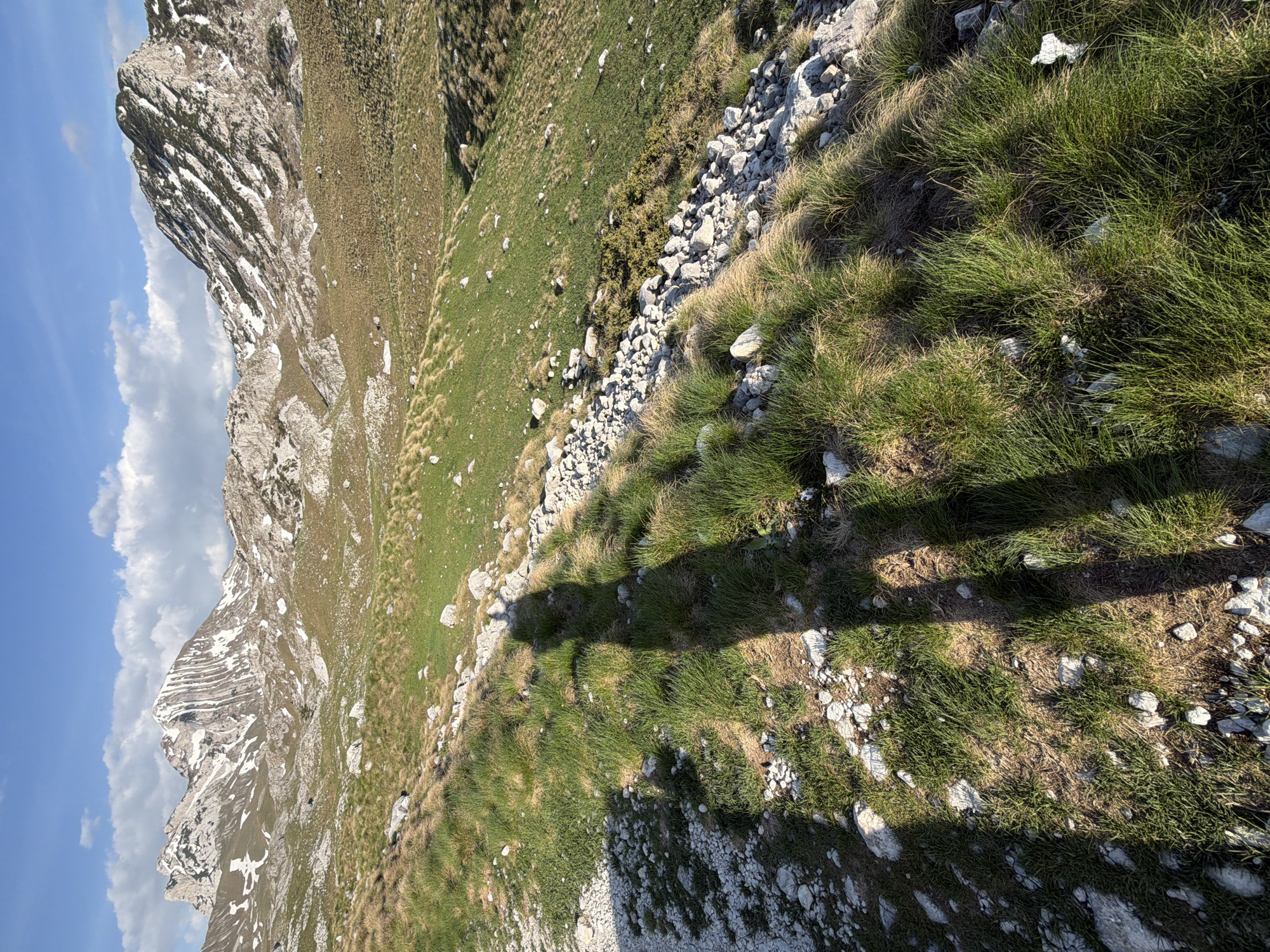 The image depicts a mountainous landscape near Boričje, Montenegro. In the foreground is grass interspersed with rocks. There is a shadow cast across the vegetation. To the left of the frame is a rocky mountain with layered rock formations and some snow patches. The sky is blue with some clouds visible.