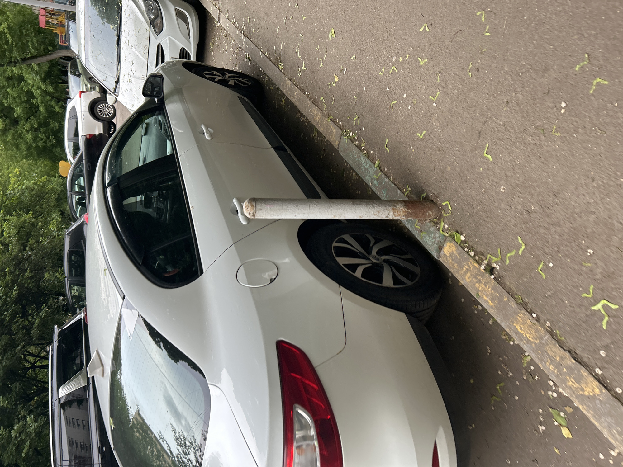 The image shows a street scene in Khimki, Russia. A white car is parked close to a metal pole near the curb. The road surface is covered in scattered green seeds and some white debris. A line of parked cars is visible in the background. The weather seems fair, with adequate lighting to highlight the objects.