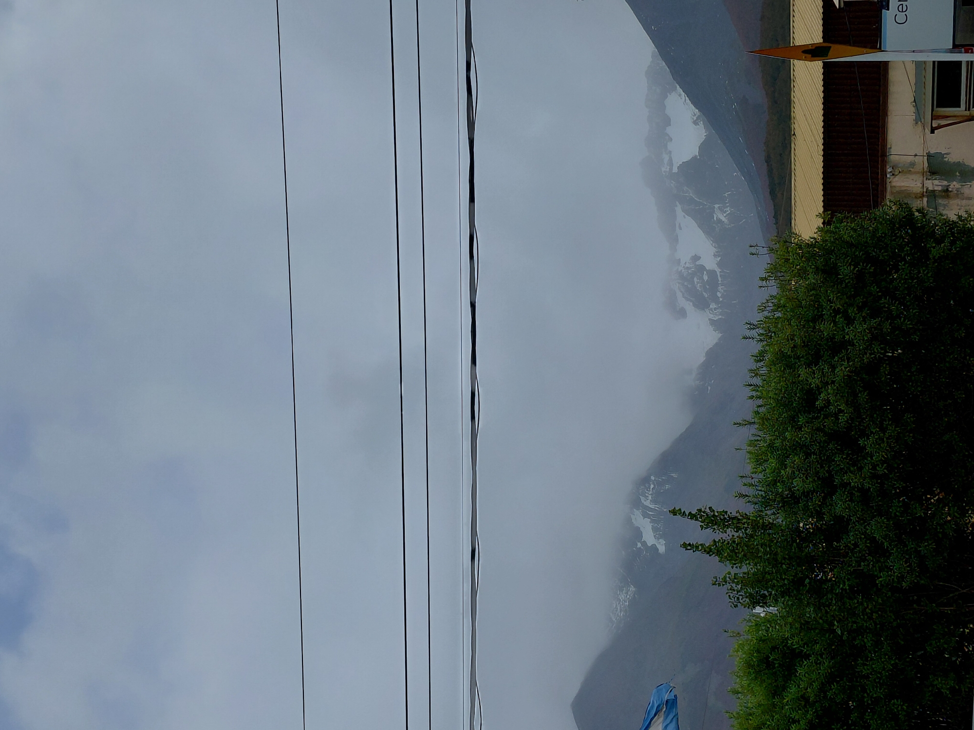 The image captures a cloudy day in Ushuaia, Argentina. A backdrop of snow-capped mountains shrouded in mist fills the background. A green tree with dense foliage sits to the right of the frame. In the foreground, a series of electrical power lines stretch horizontally across the sky. To the right of the tree, there appears to be a building with dark siding and a sign with the letters "Cer" visible. Part of what looks to be the Argentine flag is visible in the lower-left corner.