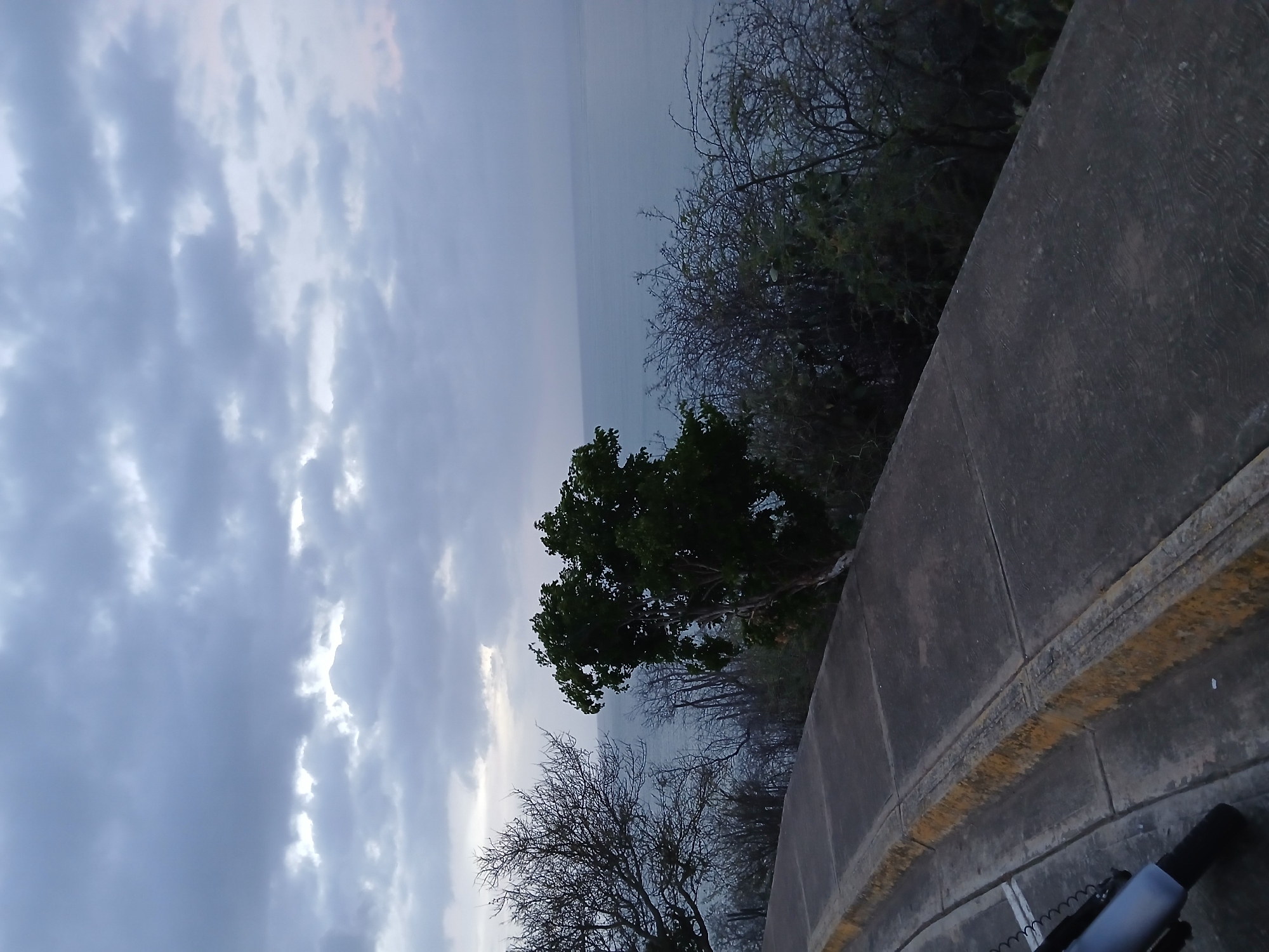 The image presents a view from an elevated position overlooking the ocean. The sky is overcast with a mix of gray and white clouds. A concrete barrier with a yellow stripe runs along the right side of the frame. Several trees and bushes grow near the barrier. In the distance, the ocean stretches out to the horizon. There are no people visible in the scene. The location is Juan Griego, Venezuela, based on its coastal setting and associated imagery.