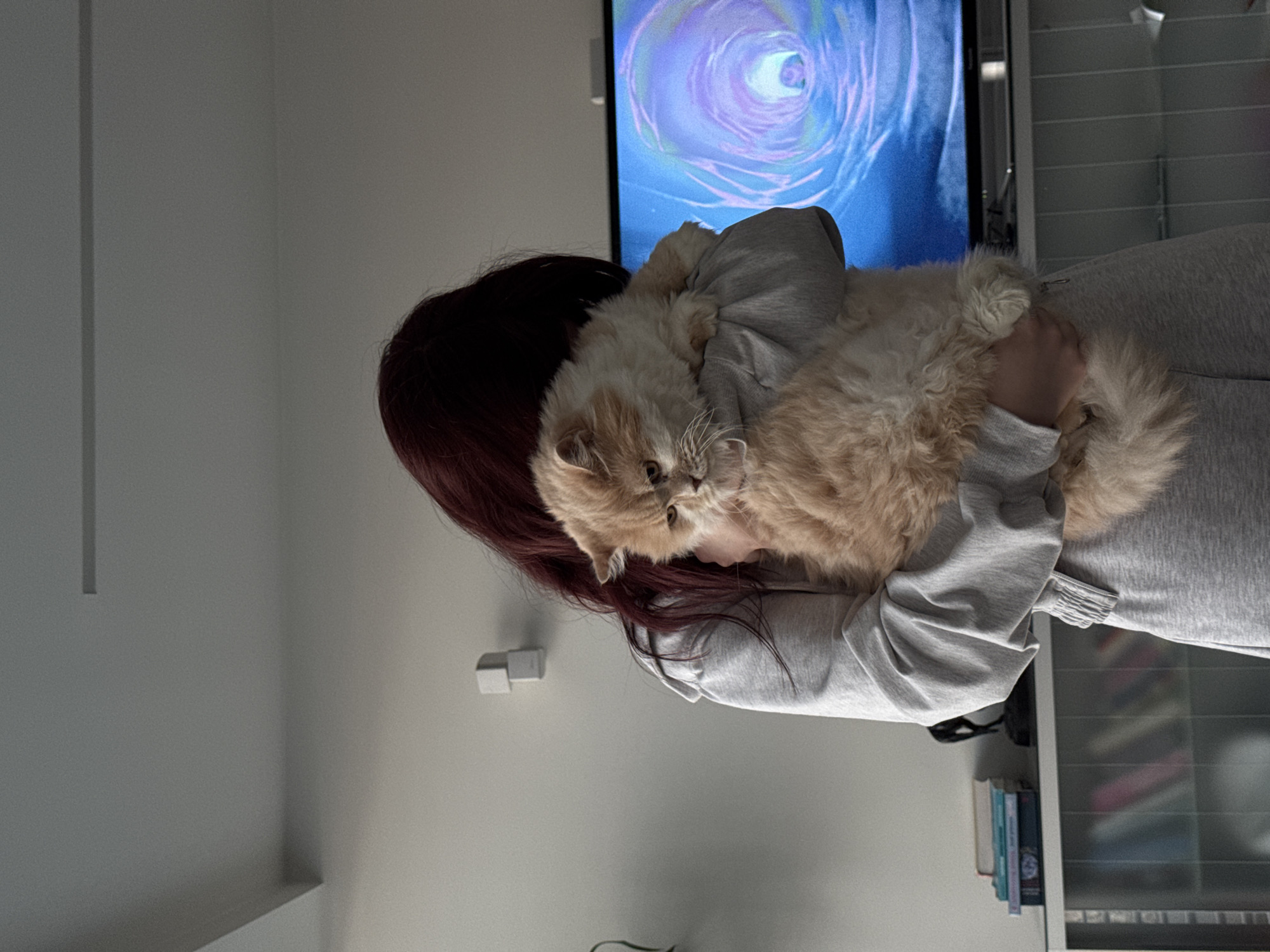 A person with long, dark red hair is holding a fluffy, light brown cat. The person is wearing a light gray sweatshirt. Behind them is a television screen displaying an image of a swirling, abstract design in shades of blue, white, and purple. A white wall is visible to the left. The setting appears to be indoors. The location is Unknown, Unknown.