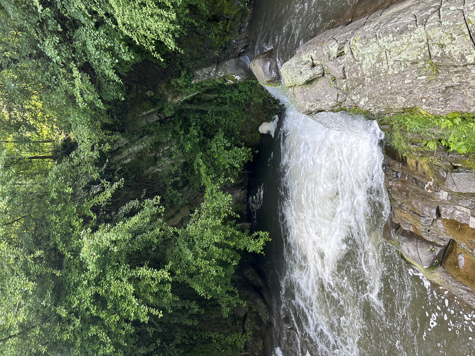 The image captures a waterfall plunging into a stream surrounded by lush vegetation and rocky terrain. The waterfall cascades down a dark gray rock formation into a turbulent pool below. The left side of the frame features an abundance of green foliage and trees. The rock faces exhibit a mix of textures, with some parts covered in moss. The water is frothy and white where it falls, contrasting with the darker water upstream. The location is not discernible, and the city is unknown.