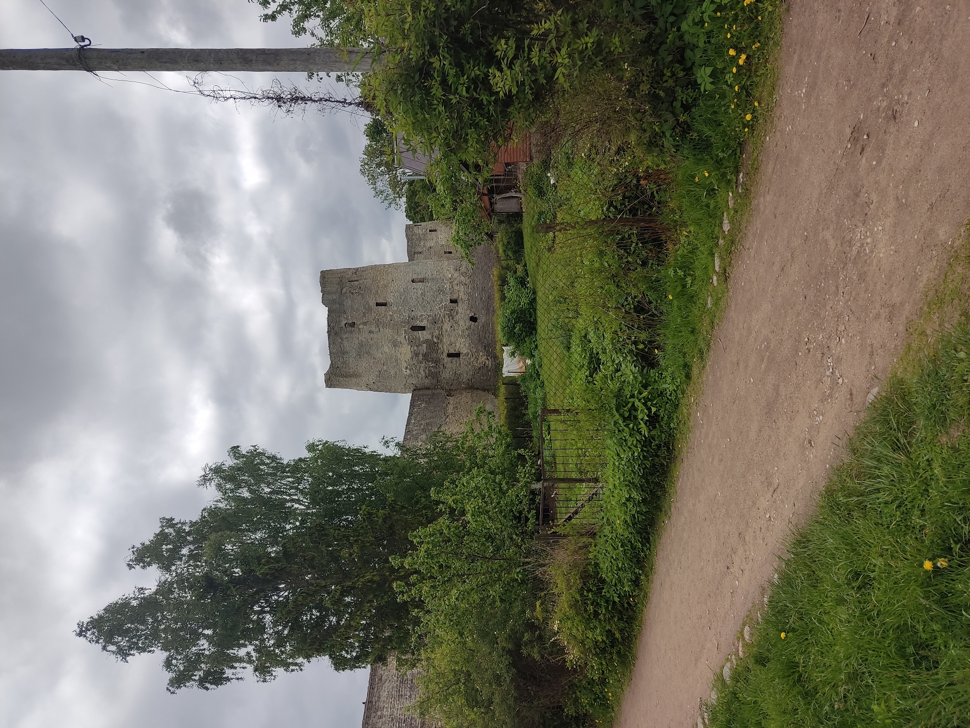 The image depicts the Izborsk Fortress in Izborsk, Russia. The fortress, constructed of gray stone, is visible in the background, partially obscured by foliage. A dirt path runs along the right side of the image, bordered by green grass and vegetation. A section of metal fencing is present along the path, separating it from more dense shrubbery. A large tree is visible in the foreground to the left of the fortress. Above, a cloudy sky fills the frame. A wooden utility pole stands at the upper left corner.