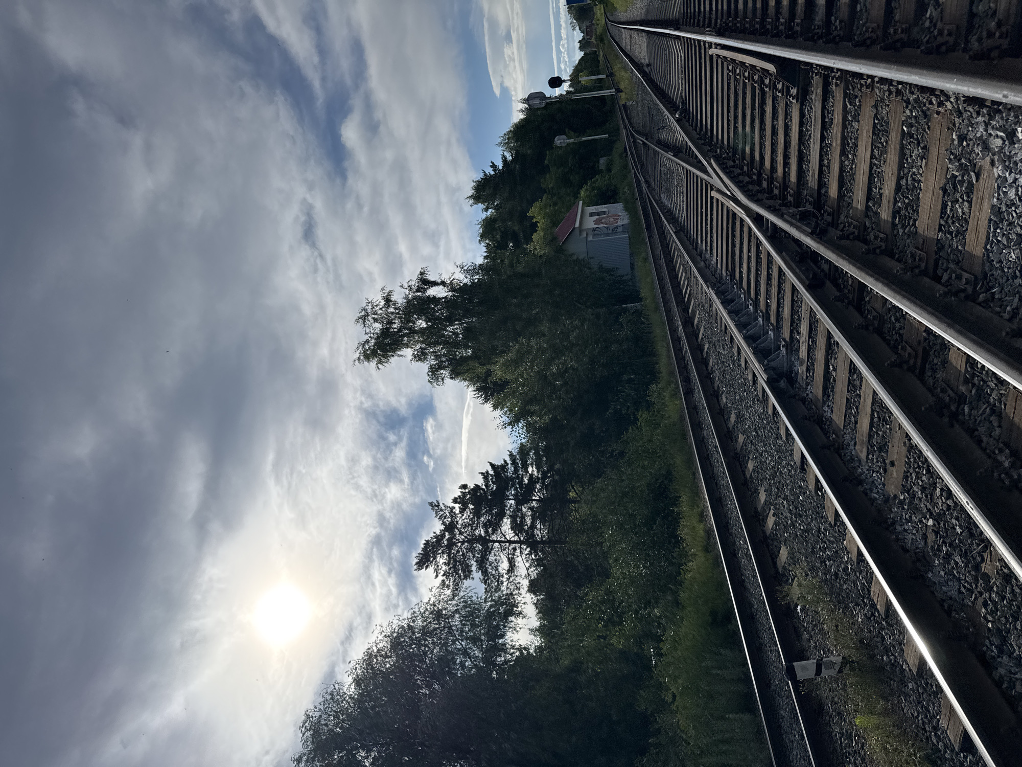 This is an eye-level, medium shot of a railway track junction on a cloudy day. The sun is visible in the upper left quadrant, casting a bright glare through the overcast sky. Multiple sets of train tracks converge and diverge in the foreground and midground, laid on a bed of ballast and wooden sleepers. On the left side of the frame, dense green foliage and trees line the tracks, with a glimpse of a small, dilapidated building with a red roof visible amidst the greenery. On the right side, further down the tracks, there are railway signals. The scene is devoid of people and appears to be a rural or semi-rural area. It is not possible to determine the specific location within the city of Chaikovsky, Russia from the provided image.