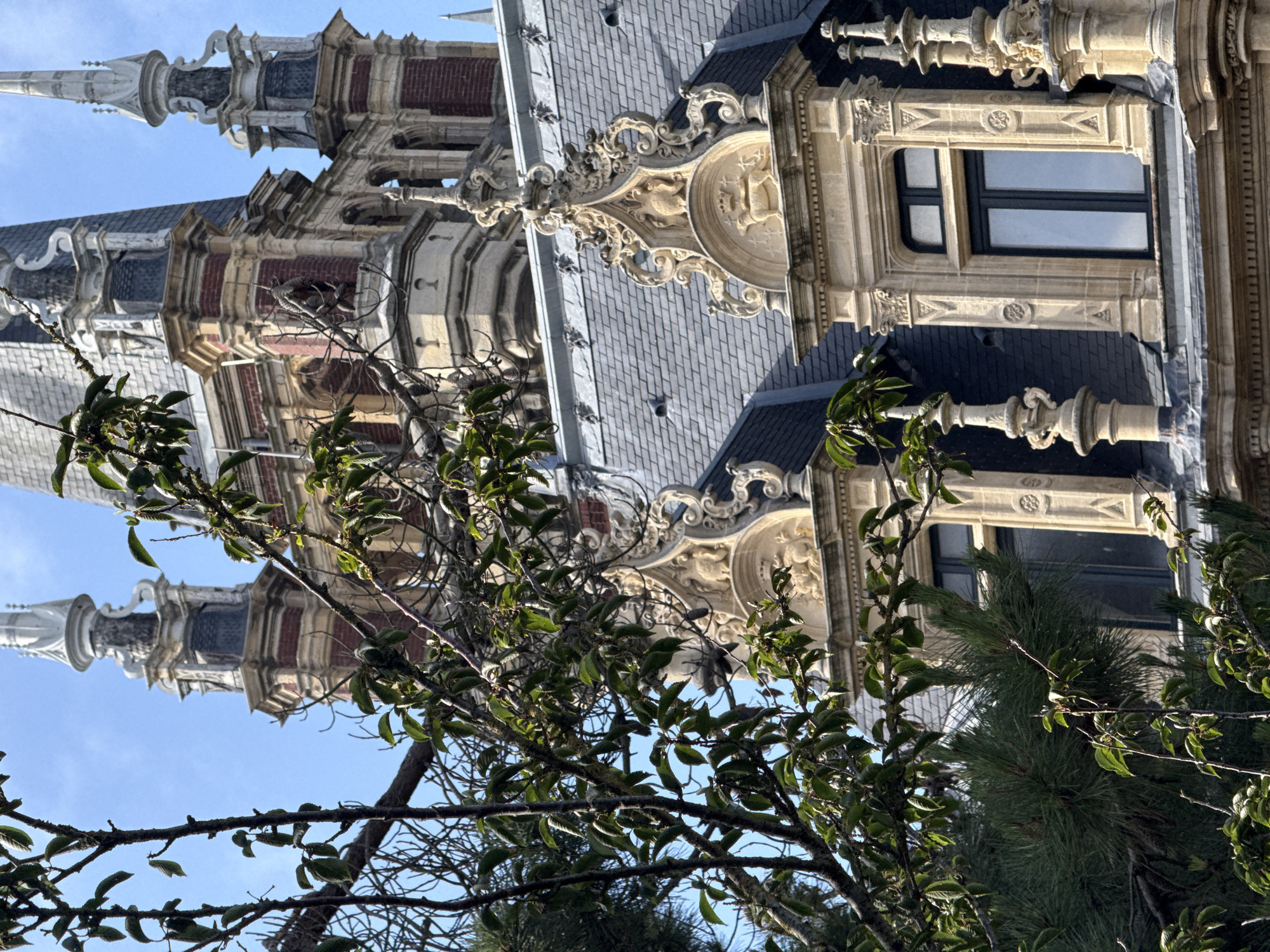 The image displays an ornate, historic building viewed from a low angle, partially obscured by trees and foliage, under a clear blue sky. The building, likely a grand edifice, showcases eclectic architecture with a blend of materials and decorative styles.
Key architectural features include dark grey, possibly slate, tiled roofs with visible dormers, sections of red brick, and extensive use of light-colored stone or render. Tall, slender spires, crowned with decorative finials, rise prominently against the sky. The stonework is intricately carved with sculptural details, balustrades, and elaborate motifs. One notable decorative element on the roofline is a large, scrolled cartouche-like structure, featuring an emblem that appears to include a stylized animal figure and a symbol or letter on a shield. A window with a dark frame is set within a richly decorated stone surround, flanked by pilasters.
In the foreground, various trees and branches partially frame the building. There are branches with lush green leaves, suggesting spring or summer, intertwined with some bare, twiggy branches. Dark green pine needles are also visible towards the lower right.
The scene is brightly lit by natural sunlight, indicating a clear, sunny day, likely during midday or early afternoon. No human activity or individuals are depicted. There is no legible text visible within the image. The overall impression is one of historical grandeur and intricate craftsmanship, with the foliage providing a natural frame to the architectural subject.