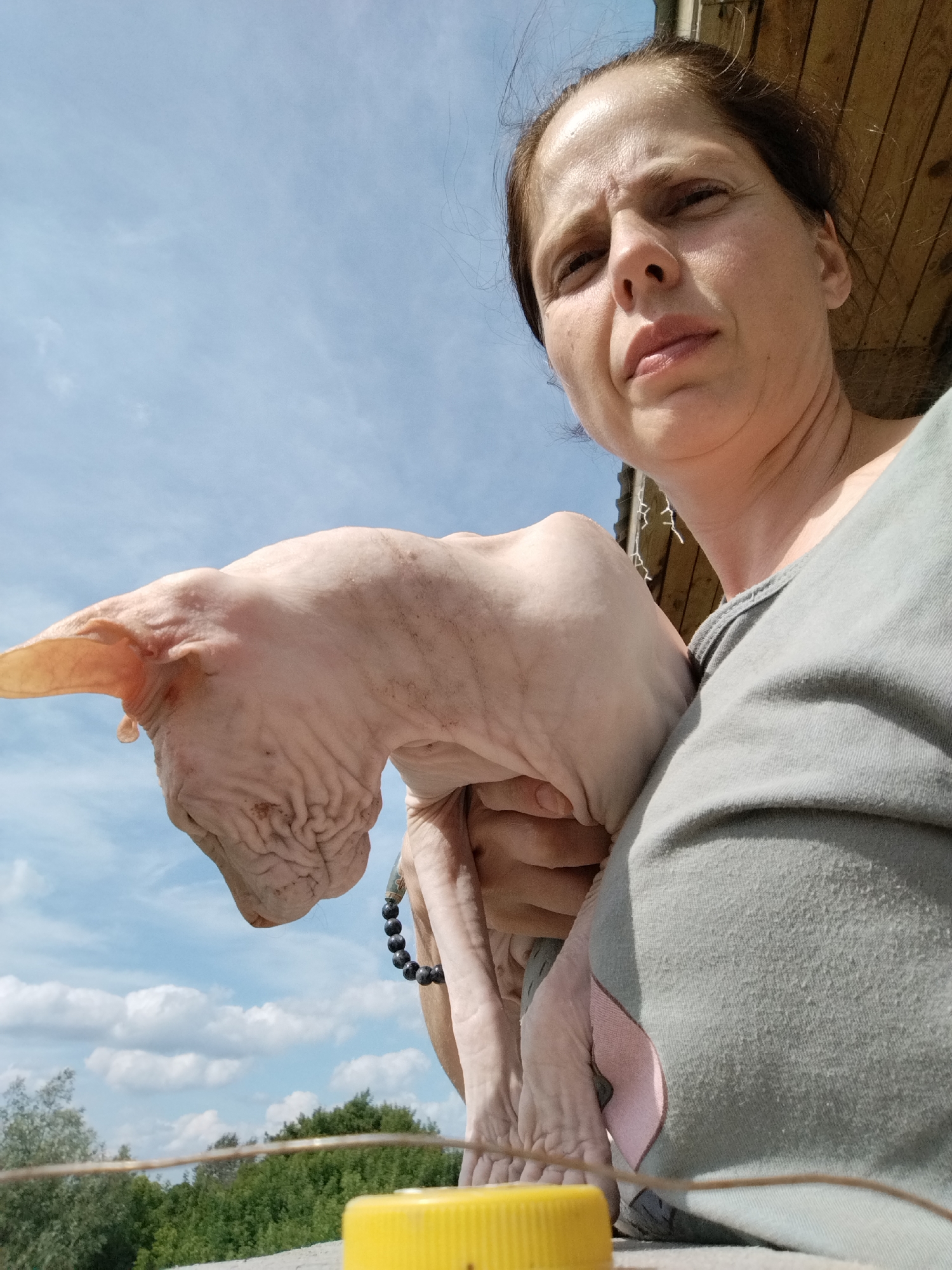 A person, viewed from a low angle, holds a Sphynx cat. The person's face, partially obscured by shadow, shows a furrowed brow and a neutral expression. They wear a grey t-shirt with pink trim visible. The cat, with its characteristic wrinkled skin, is held close to the person's chest. The background consists of a bright blue sky with scattered white clouds, a wooden structure overhead, and a line of green trees and foliage below. A yellow object, possibly a bottle cap, is in the lower foreground. The scene appears to be outdoors, with the lighting suggesting it is daytime. The image does not provide information to pinpoint a specific location within Zavodoukovsk, Russia.
