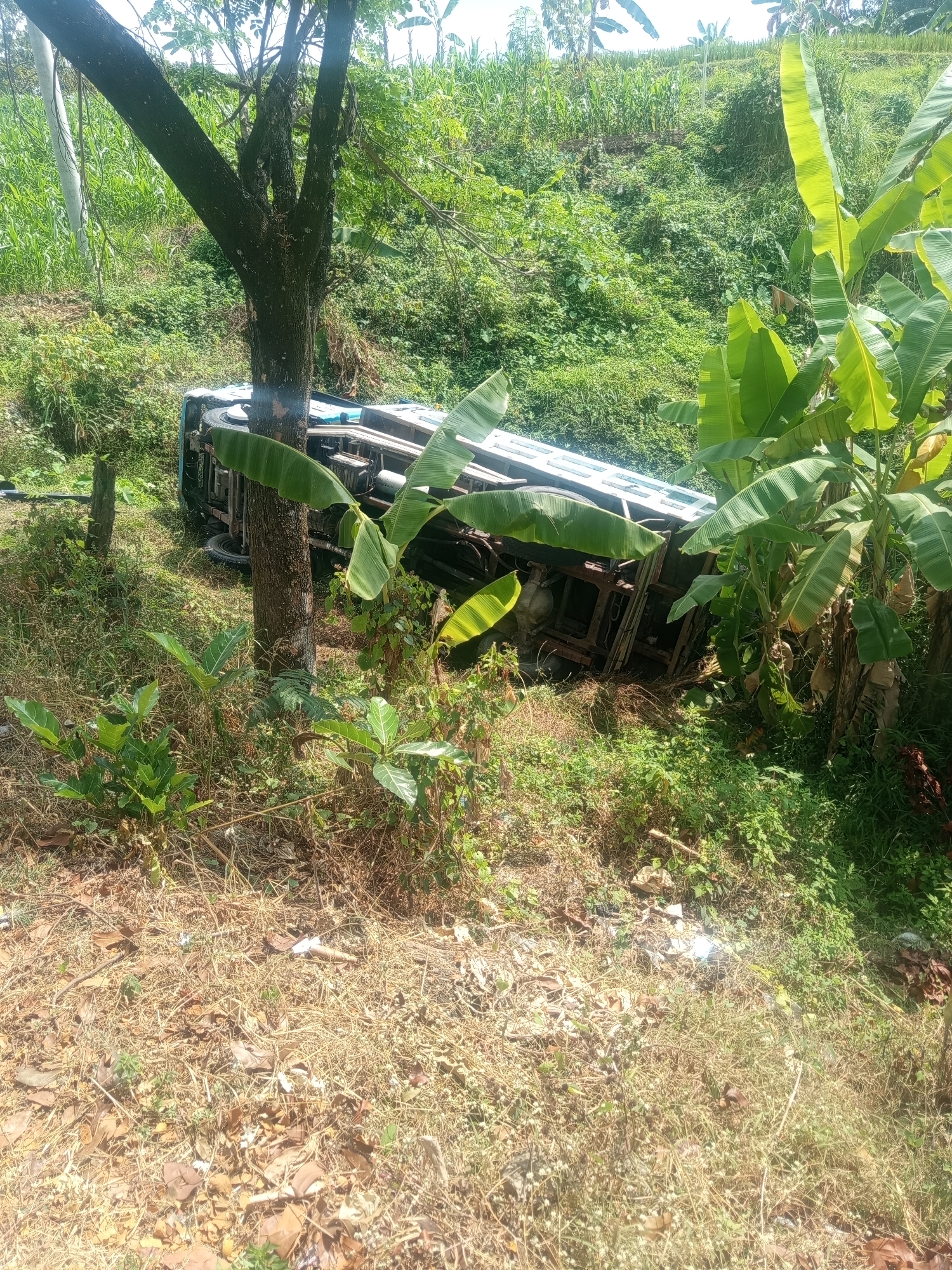 A bus has overturned on a grassy hillside, its roof and side visible. The bus appears to be blue and white, with a visible tire. The surrounding environment is lush and green, with trees and vegetation. The location is identified as the city of Sumber Gedang, Indonesia. No people are visible in the image.