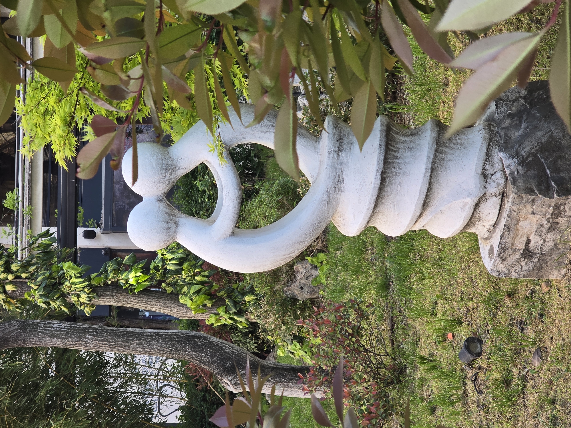 A white sculpture is positioned in a grassy area, partly framed by foliage. The sculpture has two round shapes at one end, connected by a curved element to a larger, vertically oriented, ribbed structure resting on a grey base. The area surrounding the sculpture contains various plants, shrubs, and trees. A tree trunk is visible on the lower-left side. A building is partly seen in the background, behind some green foliage. A light fixture is partly visible in the lower-right of the image. The location is Unknown, Unknown.