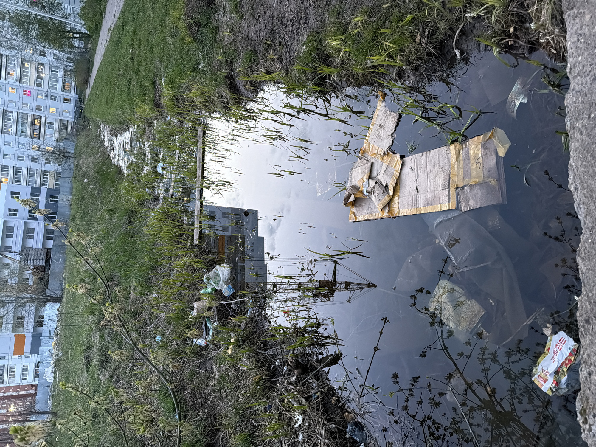 The image depicts a polluted drainage ditch in what appears to be an urban environment in Chaikovsky, Russia. The ditch is filled with stagnant water reflecting the sky and nearby buildings. Various types of trash are visible in the water including cardboard packaging, plastic bags, and paper wrappers. The banks of the ditch are overgrown with grass and weeds, some of which are partially submerged. A residential building is visible in the background with multiple lit windows, suggesting it is dusk or evening. A construction crane is also reflected in the water.