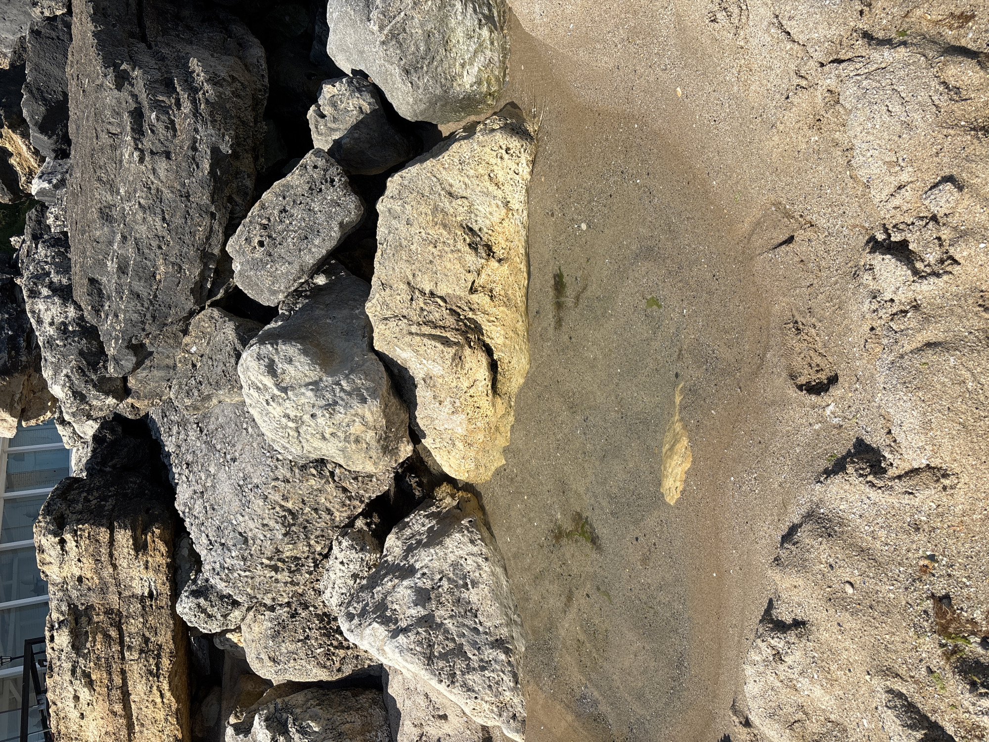 The image depicts a close-up view of a rocky embankment leading to a shallow pool of water. The rocks are of various sizes and textures, ranging from rough, gray boulders to smoother, tan-colored stones. Some of the rocks are porous and appear weathered. The water in the pool is clear, revealing a sandy bottom with small pebbles and scattered bits of green algae. The surrounding area is composed of coarse sand, with visible footprints suggesting recent human activity. In the background, partially visible, is a modern building with large windows. This scene is likely located at a coastal area in Varna, Bulgaria, possibly near a beach or a breakwater.