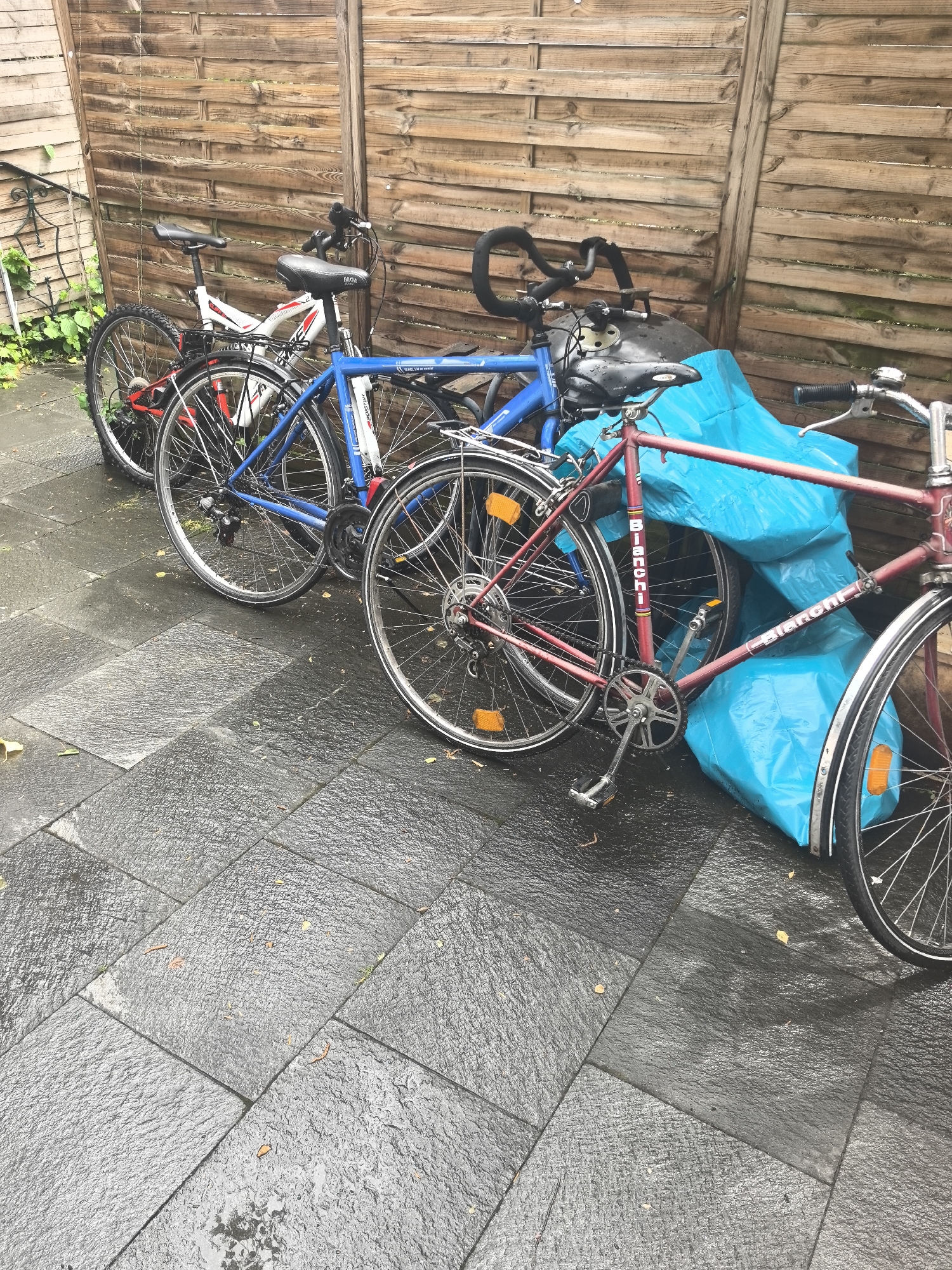 The image shows three bicycles parked on a wet, paved surface adjacent to a wooden fence. The bicycles, in varying colors (white, blue, and red), are leaned against the fence and a blue tarp. The scene appears to be outdoors, likely in a residential area. Based on information provided in the image file metadata, the location is Hattersheim am Main, Germany.