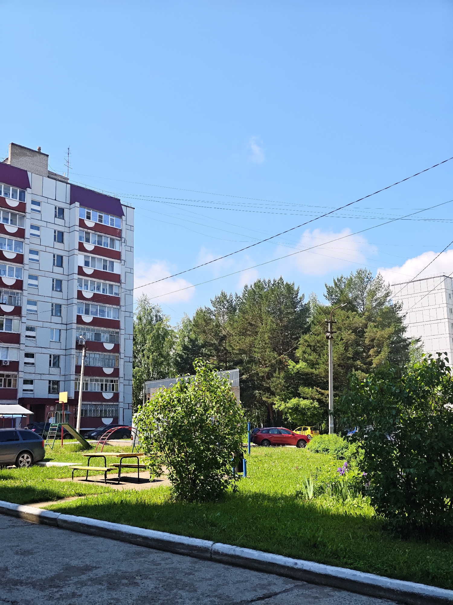 This image presents a bright, sunny daytime scene of a residential area in Chaikovsky, Russia. The primary subjects include a prominent multi-story apartment building, extensive greenery with trees and bushes, and elements of a children's playground.
On the left, a tall apartment building stands with a light gray facade, burgundy-colored roof edges, and balconies. An antenna and a brick structure are visible on its roof. Power lines stretch across the clear blue sky, which has a few small white clouds.
In the mid-ground, a green lawn features a children's playground with a yellow slide, a metal swing set frame, and an implied sandbox. Two light-colored wooden benches with dark metal frames are situated on the grass. A dark sedan is partially visible parked near the apartment building.
The central and right portions of the image are dominated by lush greenery, comprising tall pine trees and various deciduous trees and bushes. A utility pole with a light fixture stands amidst the trees. Through the foliage, another light-colored apartment building is visible in the background on the right. Further into the scene, a red SUV and a yellow car are parked on a grassy area. A small cluster of purple flowers, likely irises, can be seen in the grass on the right.
The foreground shows an asphalt surface bordered by a concrete curb. The time of day is clearly bright daylight, suggesting morning or early afternoon, given the high sun and visible shadows. The weather is fair with a clear blue sky. No people are visible, and no specific activity is taking place, depicting a typical, peaceful residential environment. There is no legible text visible in the image.