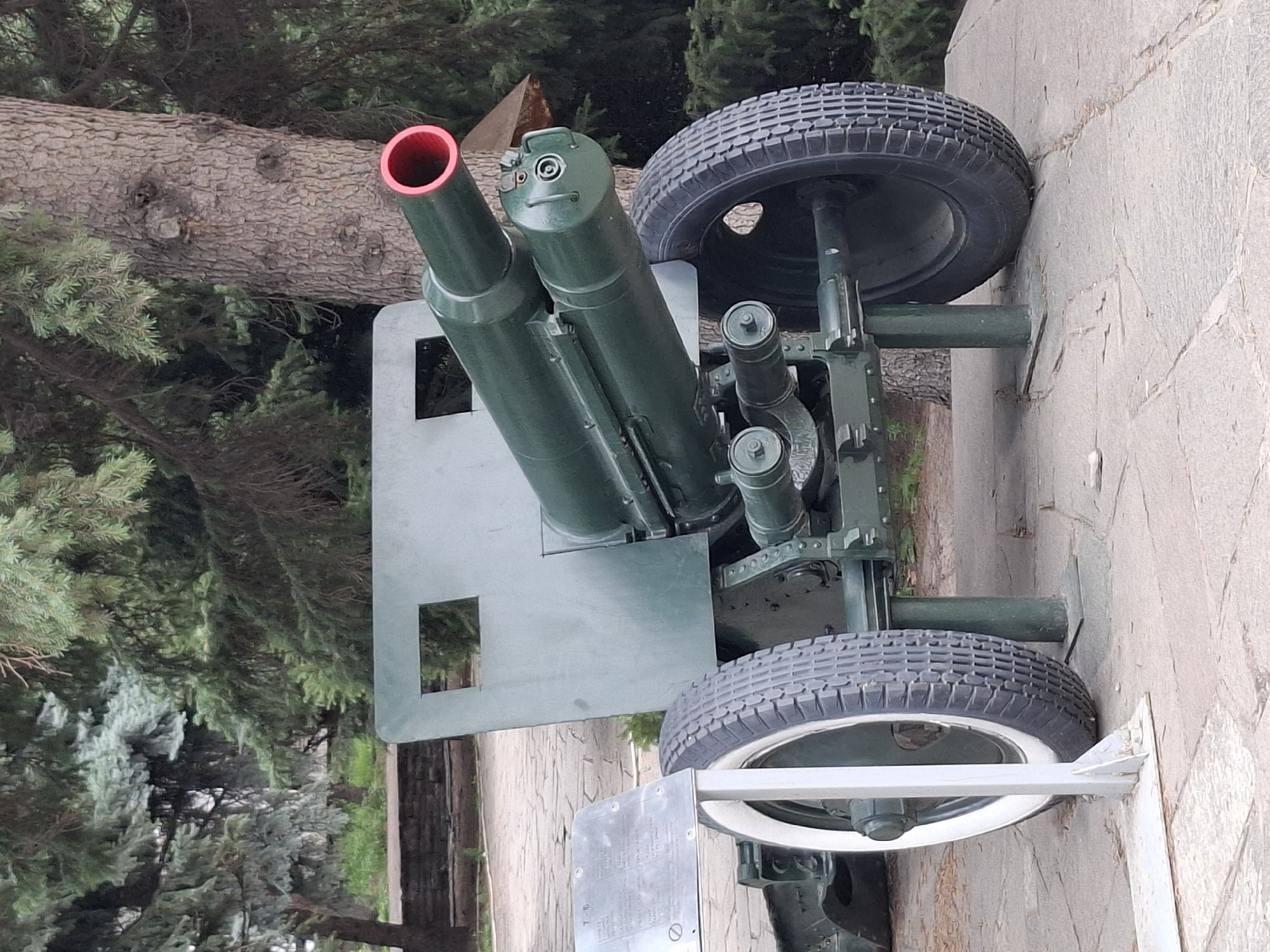 A military cannon, painted dark green, is on display outdoors. It is a large weapon with two barrels and a red-lined opening at the end of the main barrel. The cannon is mounted on a wheeled carriage with two large tires; one tire is black, and the other is white. A metal sign with text is positioned to the left of the cannon, partially obscuring the white tire. The background consists of trees, with a large tree trunk visible to the right of the cannon. The cannon is situated on a paved surface. This scene is located in Almaty, Kazakhstan.