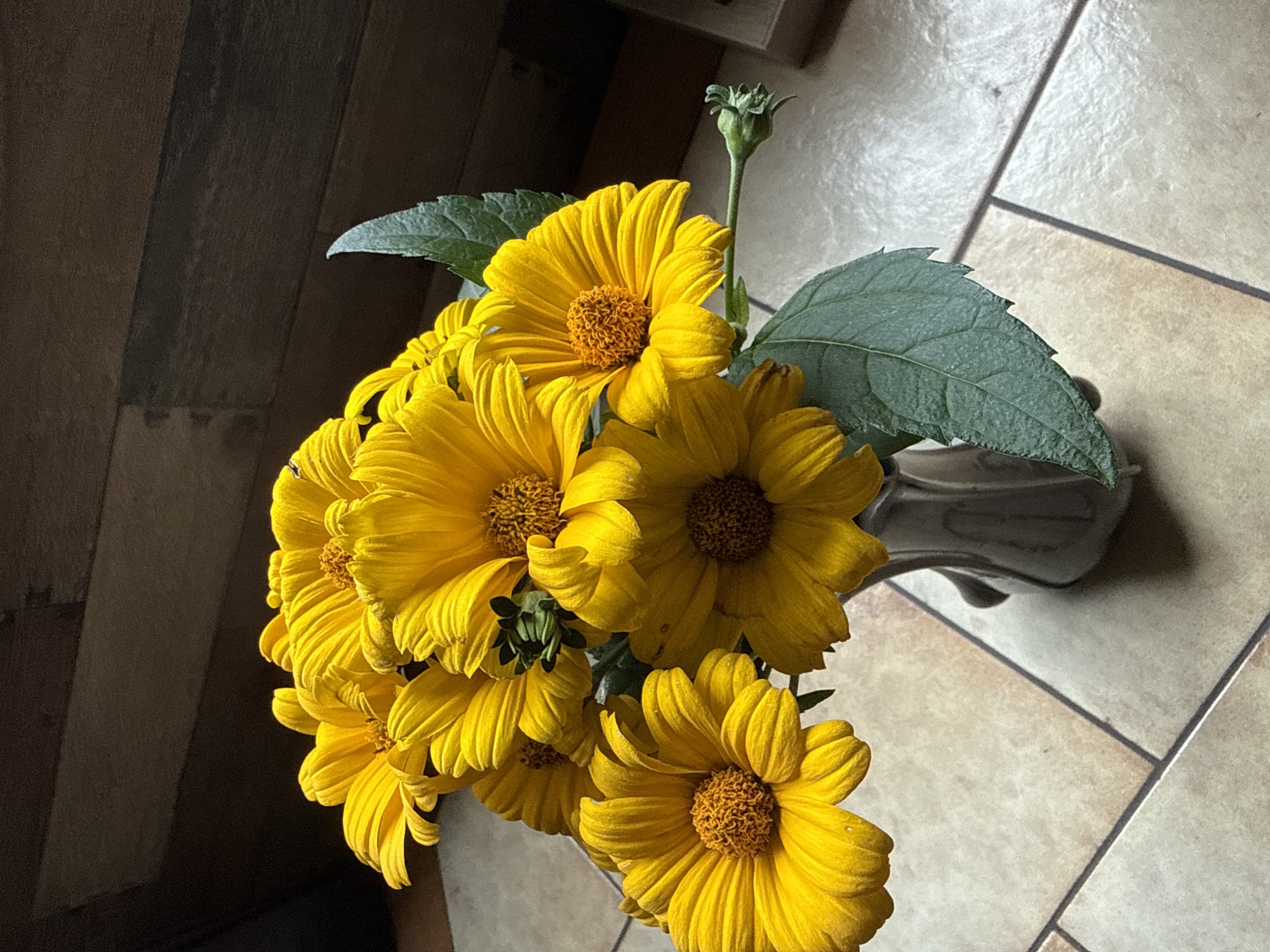A bouquet of yellow flowers in a light grey vase sits on a tiled surface. The flowers, likely daisies or sunflowers, have bright yellow petals and orange-brown centers. There are several blooms, some fully open and others still budding. Green leaves and stems are visible, with one prominent leaf to the right of the vase. The background consists of a dark wooden surface with horizontal planks. The overall lighting suggests an indoor setting, possibly a room in Galinė, Lithuania, with natural light coming from the side. The scene is still and undisturbed.