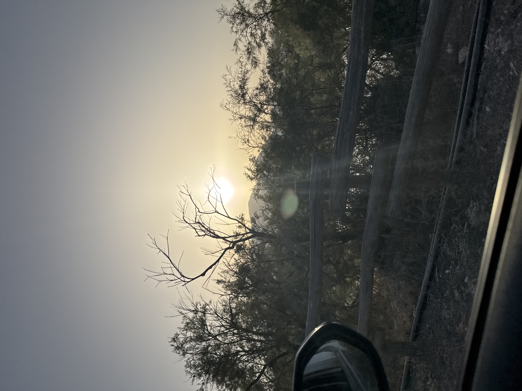 The image captures a hazy sunset over a natural landscape, possibly in or near Orosei, Italy. The sun is partially obscured by a thin layer of atmospheric haze and is positioned in the upper left quadrant of the frame, casting a soft, yellowish glow. Silhouetted trees with bare branches dominate the mid-ground, some appearing thorny or scrub-like, with denser foliage visible behind them. A rustic wooden fence, constructed from thick, weathered logs, runs horizontally across the lower half of the image. The foreground shows a portion of a car's interior, with the driver's side mirror visible on the left, reflecting the hazy sky. The ground beneath the fence appears dry and covered in sparse vegetation and scattered debris. The overall atmosphere is subdued and serene, characteristic of a quiet evening in a rural or semi-natural setting.