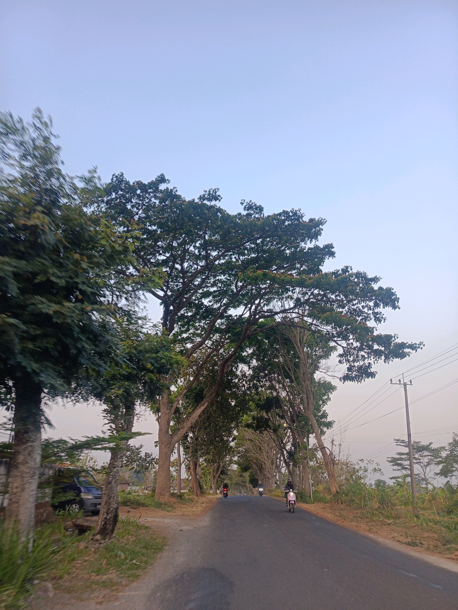 The image depicts a two-lane asphalt road lined with mature trees, creating a canopy effect over the roadway. The scene appears to be in Nitikan, Indonesia, as suggested by the context. On the left side of the road, a dark-colored car is parked near a white fence, partially obscured by trees and vegetation. Several motorcycles are visible on the road, with at least three riders in motion. One motorcycle with a rider wearing a dark shirt and helmet is in the foreground on the right side of the road. Further down the road, two more motorcycles are visible, one with a rider wearing a black shirt and helmet and another with a rider wearing a white shirt. Telephone poles and wires run parallel to the road on the right side, with dense vegetation and some smaller trees in the background. The sky is a pale blue, suggesting either early morning or late afternoon light. The overall impression is a rural or semi-rural road in Indonesia.
