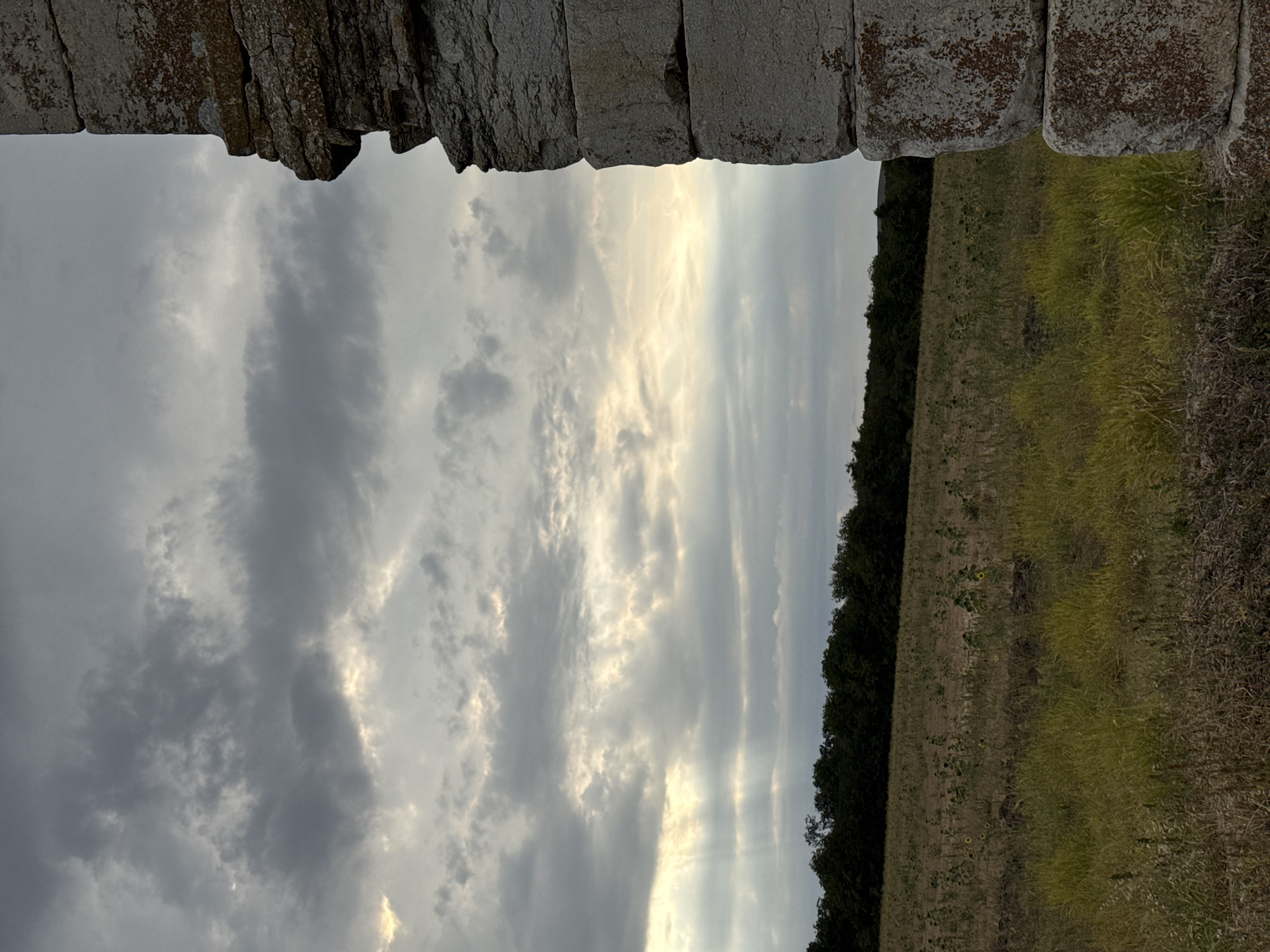 An overcast sky with dramatic sunbeams breaking through clouds hangs over a field of dry grass and scattered sunflowers. A dark, dense treeline forms the horizon. To the right, a weathered, stacked stone structure with mossy patches stands in the foreground, obscuring part of the view. The scene appears to be in or around Lesicheri, Bulgaria, suggesting a rural or historical outdoor setting.