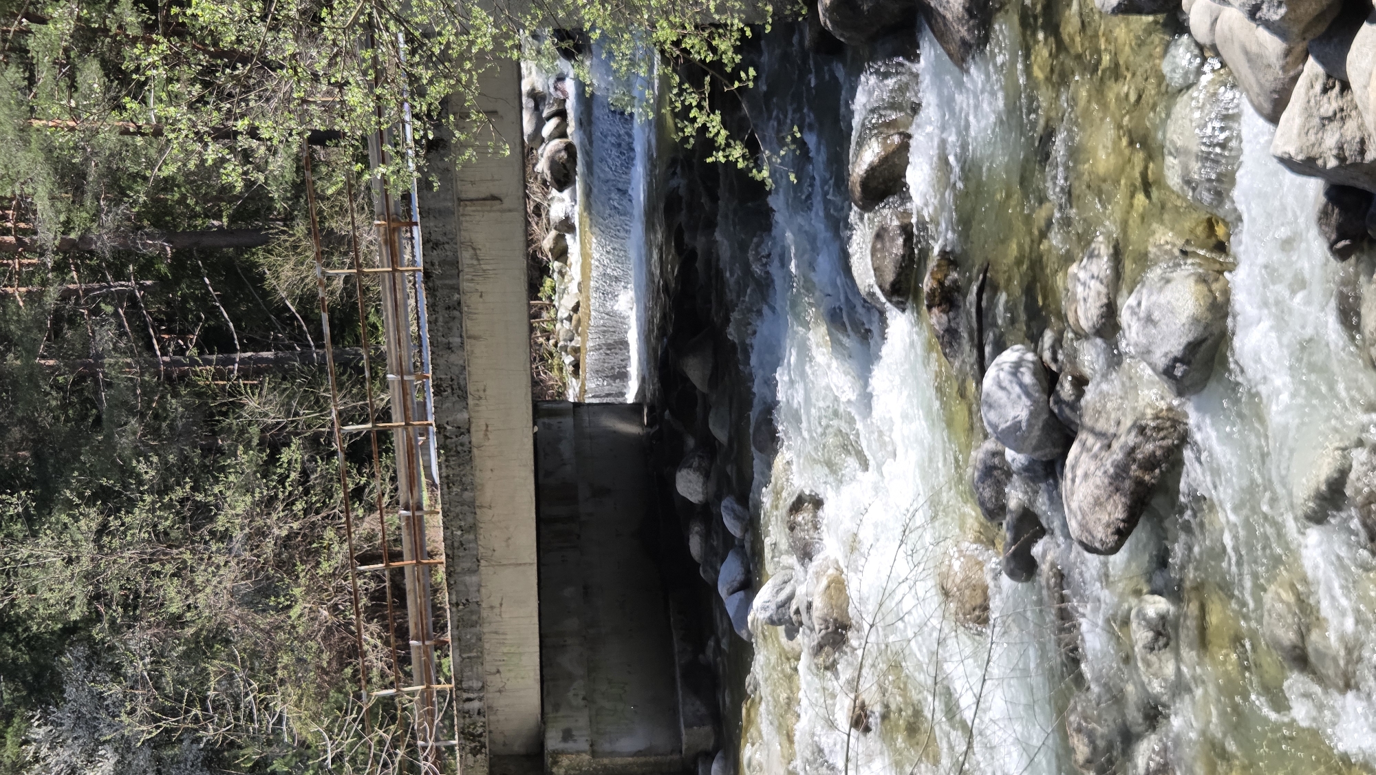 The image depicts a river flowing underneath a concrete bridge, presumably in a natural setting in the city of Unknown, Unknown. The river is rocky with clear water flowing over and around the stones, creating small rapids and white water. The bridge is supported by concrete pillars and has rusty metal guardrails on one side, next to a lush green area. The scene is likely outdoors on a sunny day, as indicated by the bright lighting and shadows. There are no people visible in the frame. The environment suggests a natural or park setting within a city.