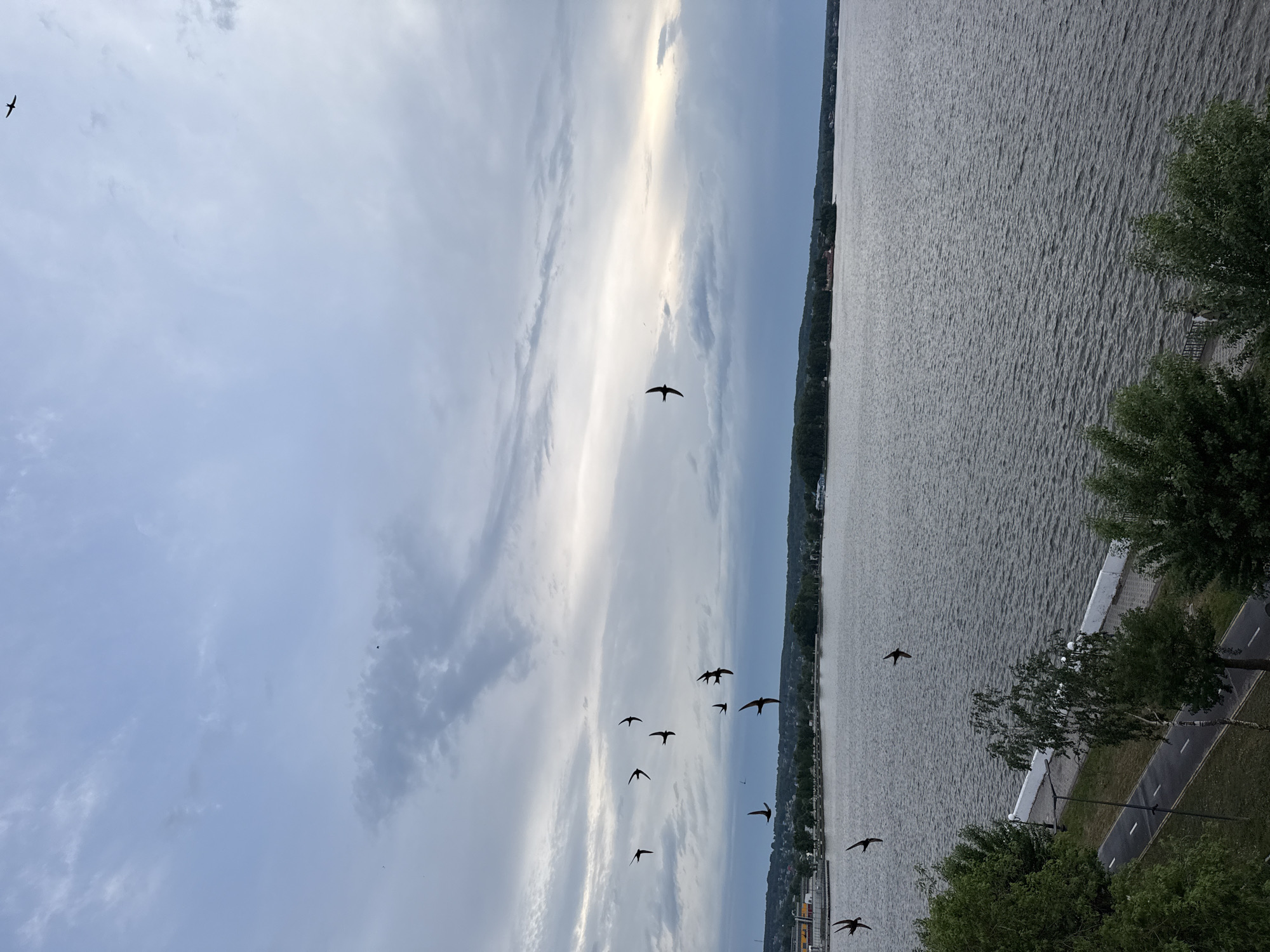 The image shows a view in Votkinsk, Russia, overlooking a body of water, likely the Votkinsk Reservoir on the Kama River. A line of trees marks the far shore. The sky is overcast with light patches peeking through. A flock of birds, silhouetted against the sky, is flying. On the right side of the image, there's a paved path with a sidewalk and trees. A white border runs along the edge of the water.
