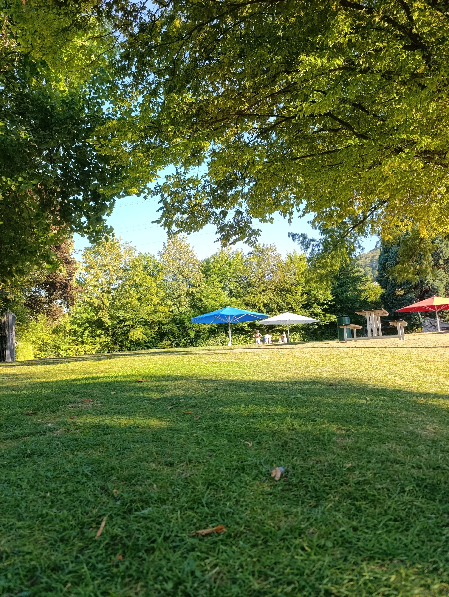 The image depicts a public park area in Pfullingen, Germany, characterized by a lush green lawn and abundant trees. In the mid-ground, three picnic tables with umbrellas are set up. One umbrella is a vibrant blue, another is white, and a third is red and yellow. A green trash receptacle is situated near one of the tables. Several people, appearing to be children and adults, are gathered around the tables under the umbrellas. The background is filled with a dense line of trees, with a gentle slope of the terrain visible behind them. The sky is clear and blue. The foreground is dominated by the grassy lawn, with some fallen leaves scattered across it. The scene is bathed in sunlight, casting shadows from the trees onto the grass, suggesting a pleasant daytime setting.