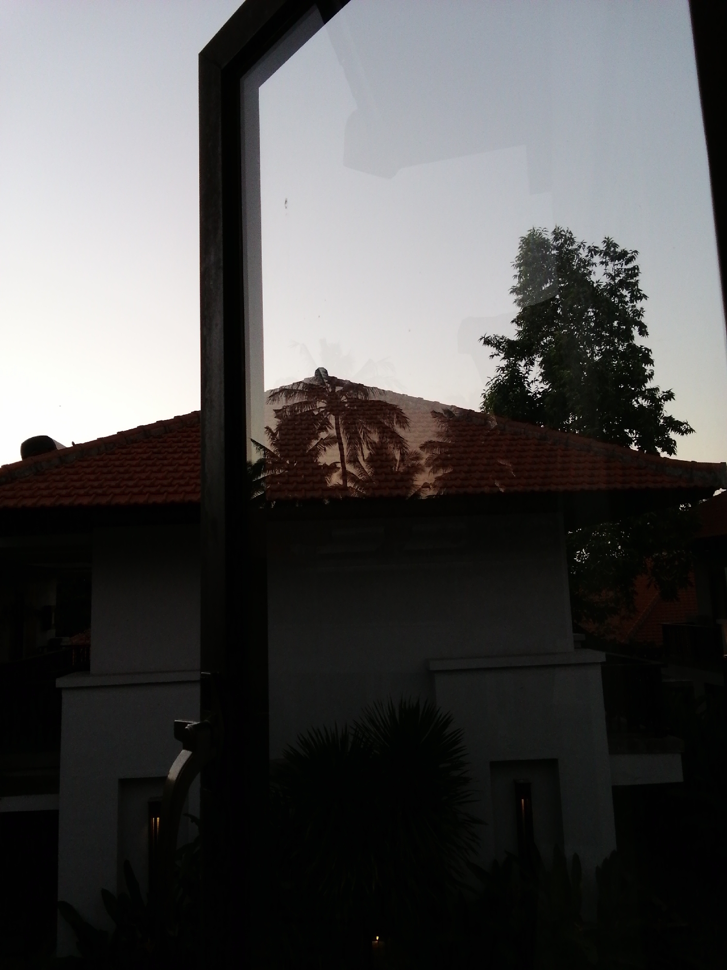 The image shows a view through a window, capturing a reflection of palm trees and a large tree on the roof of a building. The building has a red tiled roof and white walls. In the foreground, a dark vertical structure, possibly part of the window frame or a support, divides the scene. The sky is light, suggesting either dawn or dusk. The location is identified as Bulusan, Indonesia.