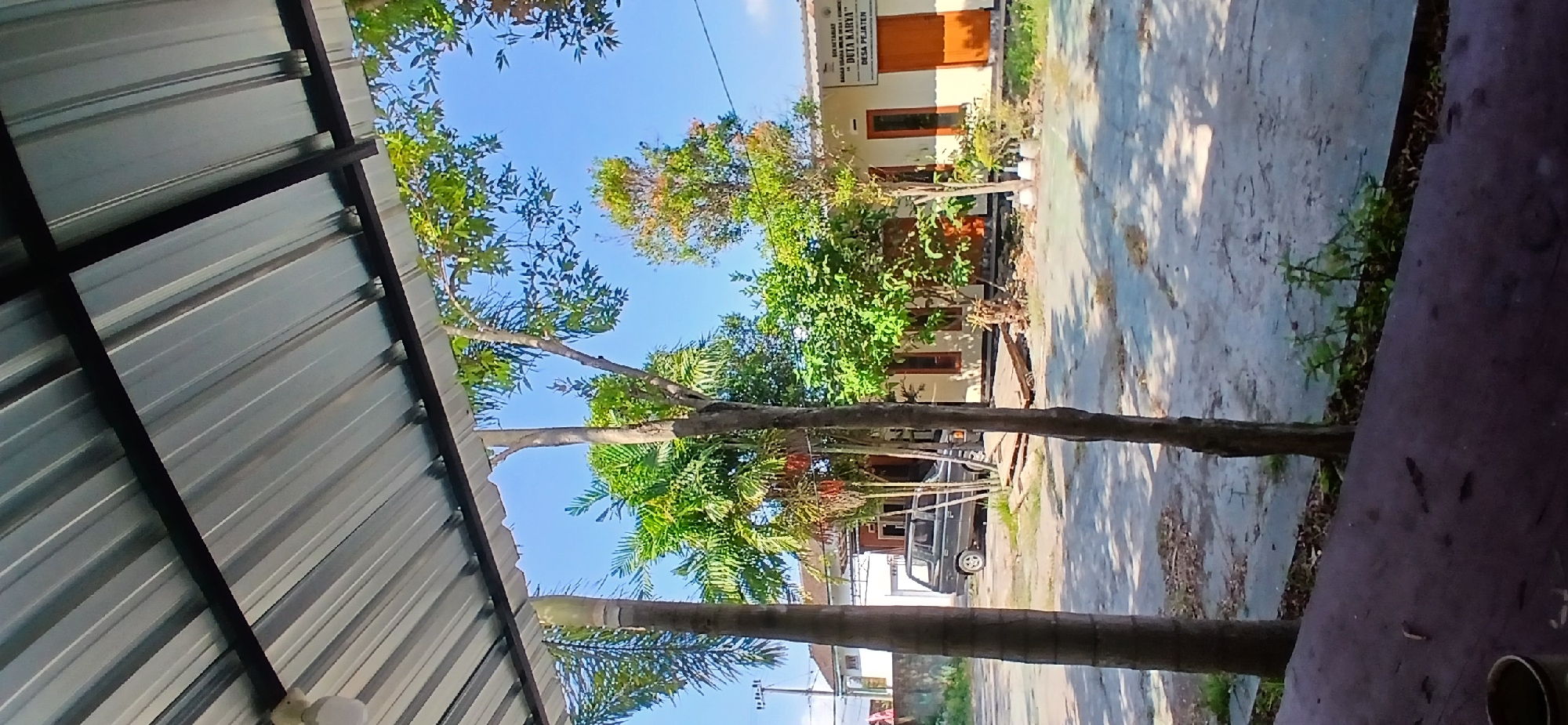 An eye-level shot captures an outdoor scene with a clear blue sky and a building in the background, framed by a corrugated metal roof in the foreground. To the left, a tall palm tree stands prominently. A dark-colored SUV is parked in the middle ground, facing towards the right. Behind the vehicle, a light-colored building with brown-framed windows and doors is visible. A sign on the building reads "SEKRETARIAT 'DUTA KARVA' DESA PEJATEN". Several trees with green foliage are scattered throughout the scene, casting shadows on the paved ground. The overall impression is a sunny day in a residential or administrative area in Pejaten, Indonesia.