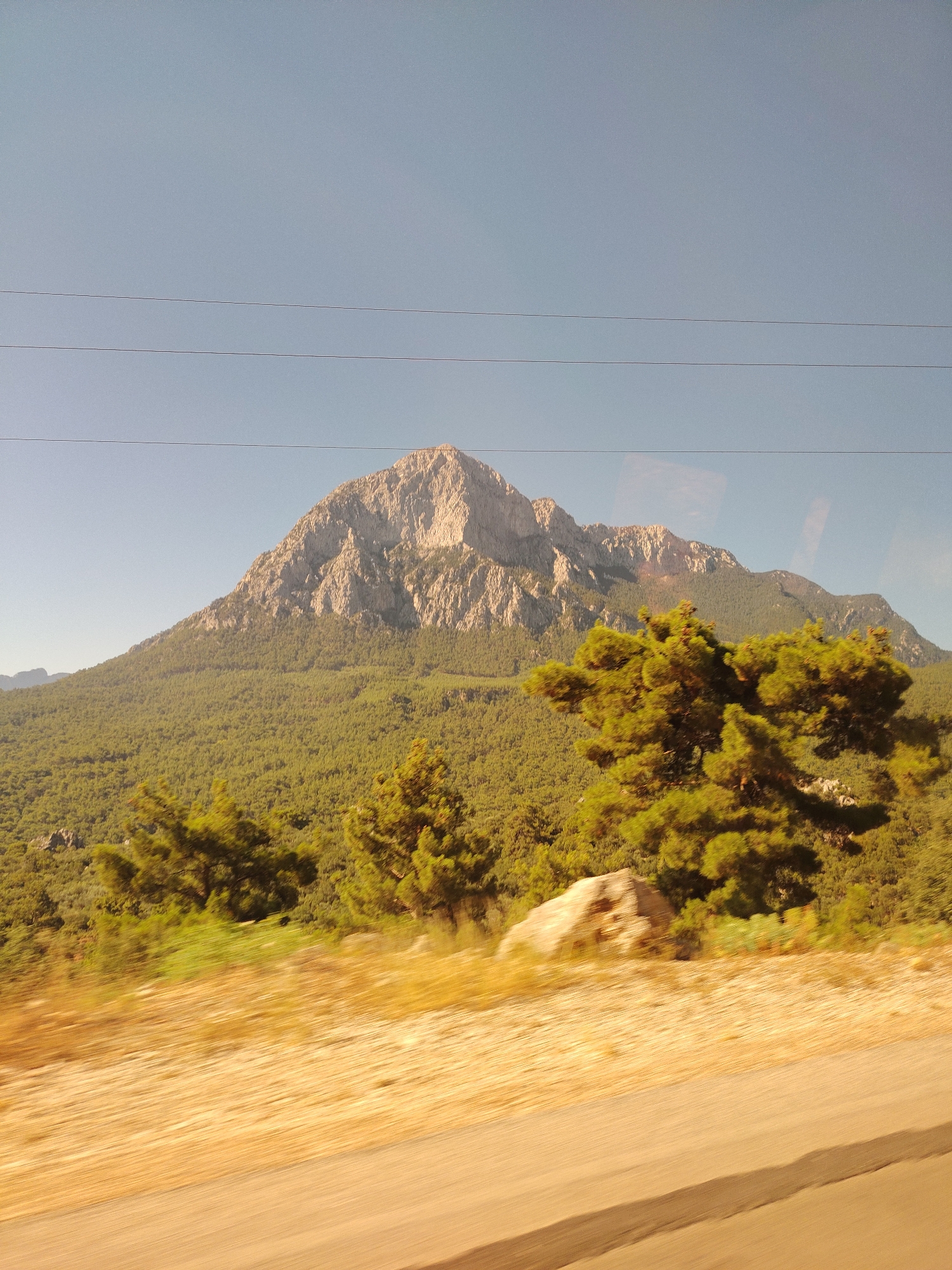 The image shows a mountain with a dense forest covering its slopes. The mountain is rocky and rugged towards its peak. In the foreground, there are several evergreen trees and some dry vegetation. A road or pathway is visible at the bottom of the image, with motion blur indicating movement. The sky is clear and blue. There are power lines stretching horizontally across the upper part of the image. The scene is likely in a natural environment outside of a densely populated urban area, possibly a mountainous region near Konyaaltı, Turkey, known for its natural beauty and coastline.