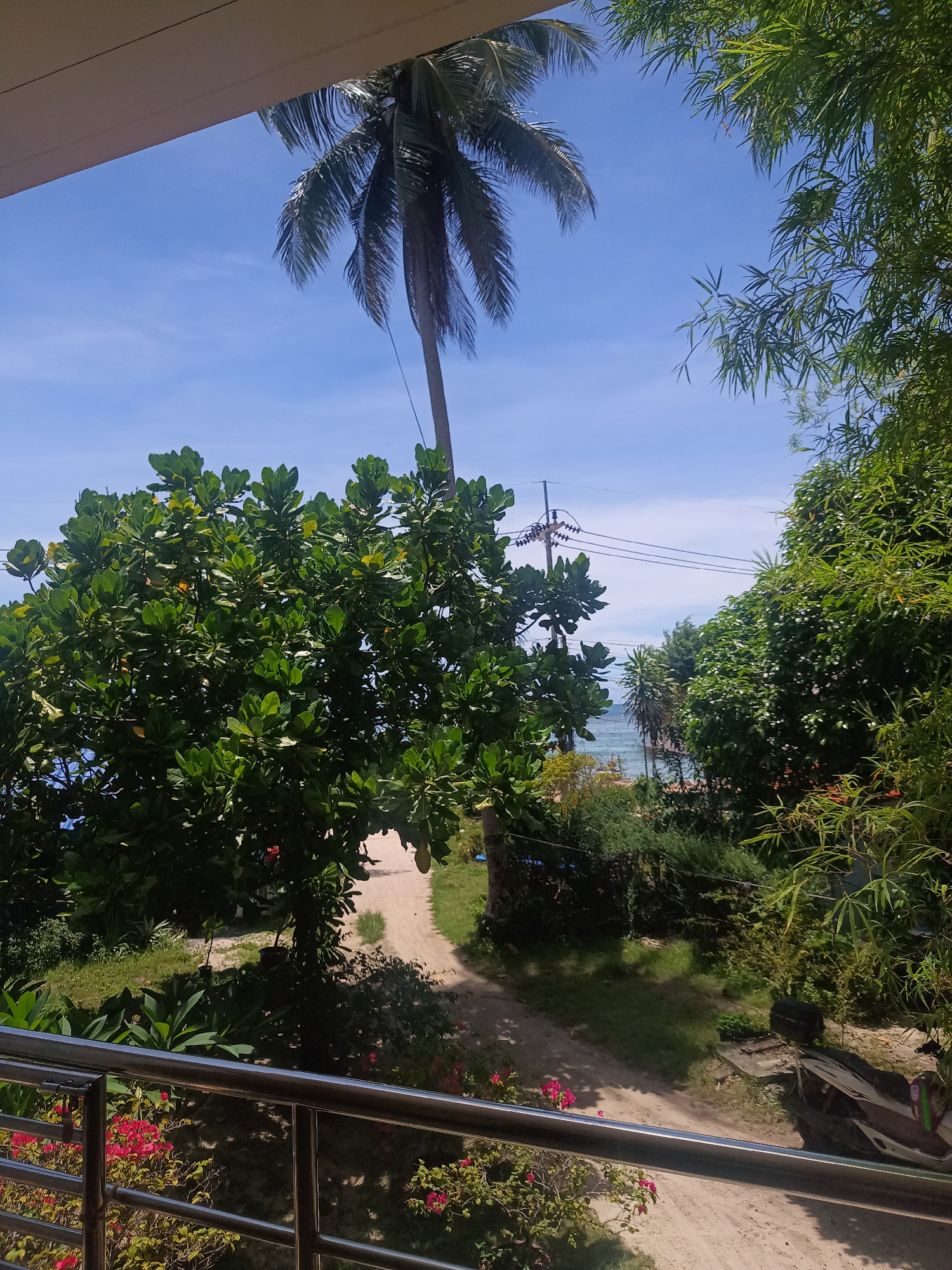 The image shows an outdoor scene in Baan Chaloklum, Thailand. The view is partially framed by a balcony railing. A sandy path leads from the foreground through lush vegetation towards a beach and the ocean in the background.
A tall palm tree is visible on the left side of the path, and power lines stretch across the sky. Various trees and bushes, including bamboo, surround the path. Pink flowers are visible near the railing. A motorcycle is partly visible on the right side of the path. The sky is blue with some clouds.