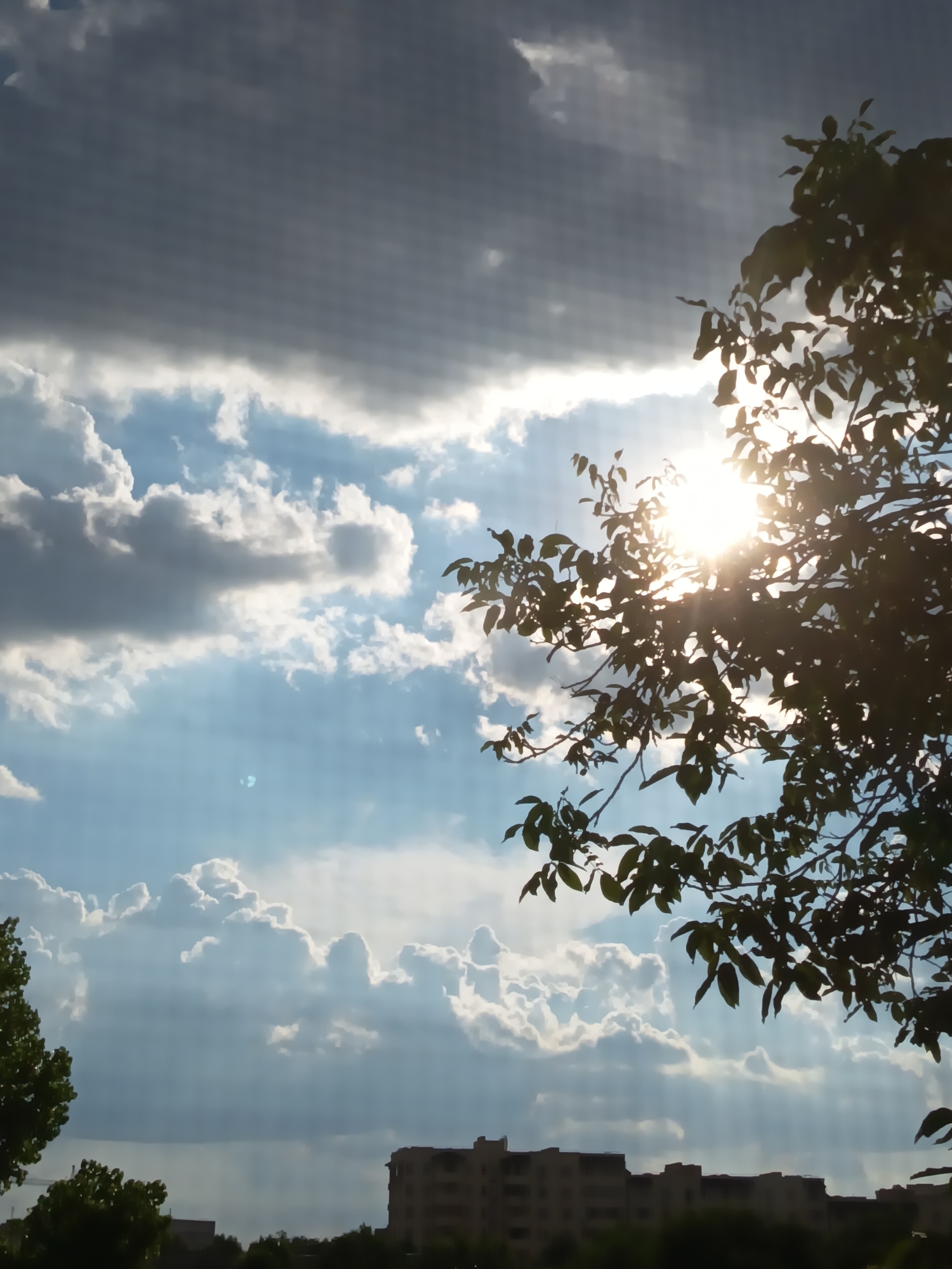 This image depicts a partially overcast sky over Izmail, Ukraine. The sun is visible, peeking through the clouds and casting rays of light. Silhouetted against the sky are tree branches with leaves. In the distance, a low-rise building or apartment complex can be seen above a line of trees. The overall impression is of an outdoor urban environment during daylight hours.