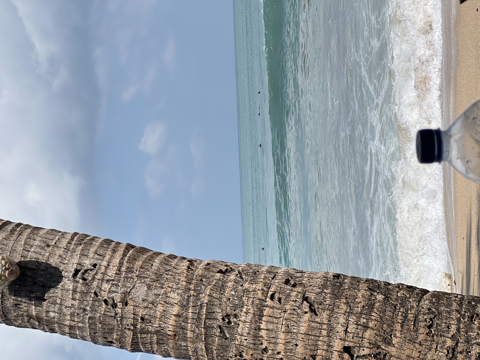 A low-angle, outdoor, full shot captures a beach scene with a palm tree trunk in the foreground, framing a view of the ocean and a partly cloudy sky. The textured, brown palm tree trunk extends from the bottom left to the top left of the frame, with a dark, shadowed cavity visible on its surface. In the midground, a turquoise ocean with gentle waves meets a sandy beach. Several small, dark figures are visible in the water, appearing to be surfers or swimmers. In the foreground, the out-of-focus top of a clear plastic water bottle with a black cap is present. The scene is likely set in Kuta, Indonesia, a popular beach destination known for its palm trees and surfing conditions.