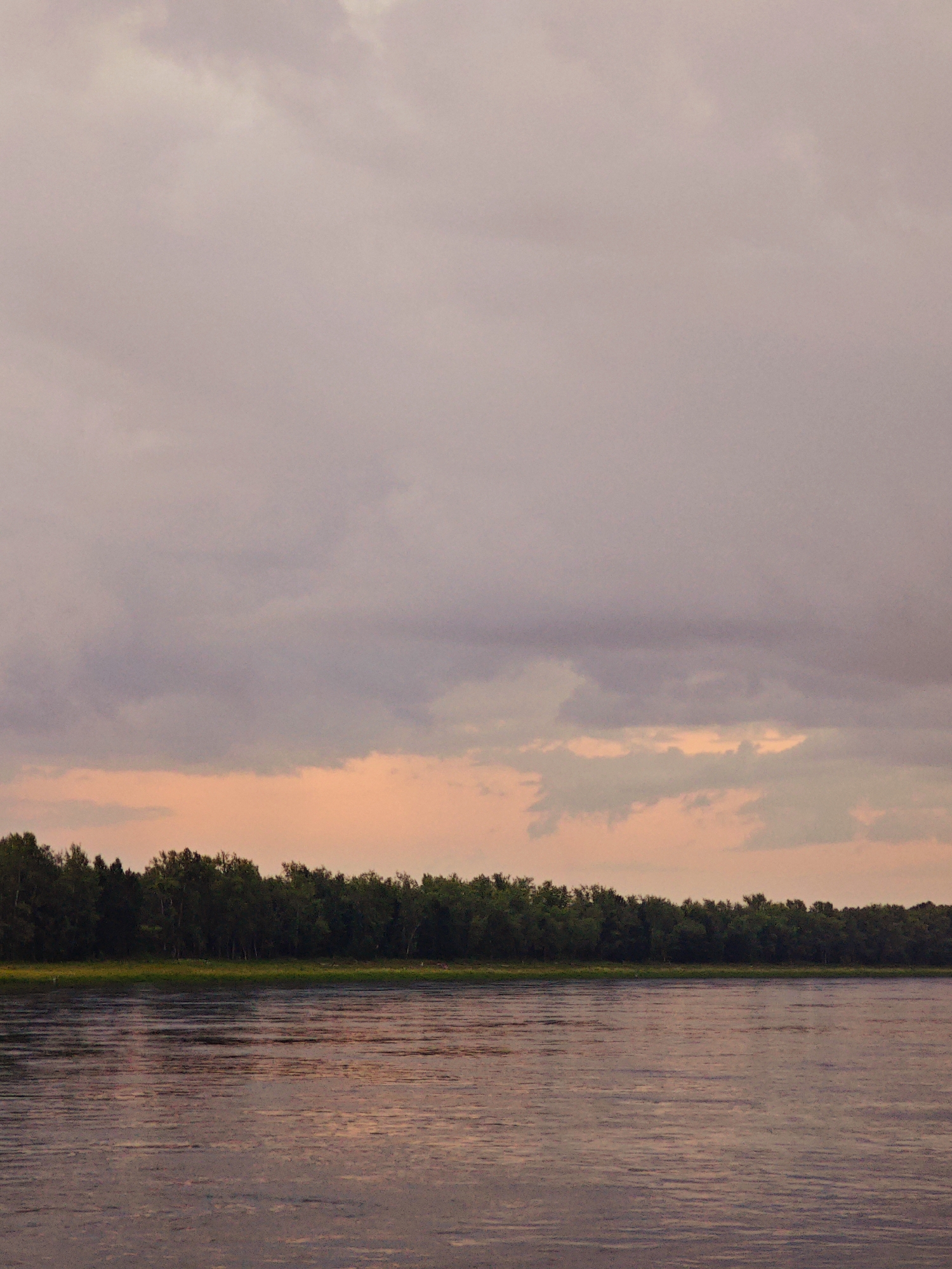 An expansive, calm river stretches across the lower half of the frame, reflecting the muted colors of the sky. The water surface is smooth with subtle ripples. Along the far bank, a dense line of dark green trees forms a natural boundary, their foliage creating a textured silhouette against the lighter horizon. Above the treeline, a band of pale orange light suggests the setting or rising sun, diffused by a layer of soft, hazy clouds that dominate the upper portion of the image. The overall atmosphere is serene and tranquil. The location is a riverbank in Kazachinskoe, Russia.