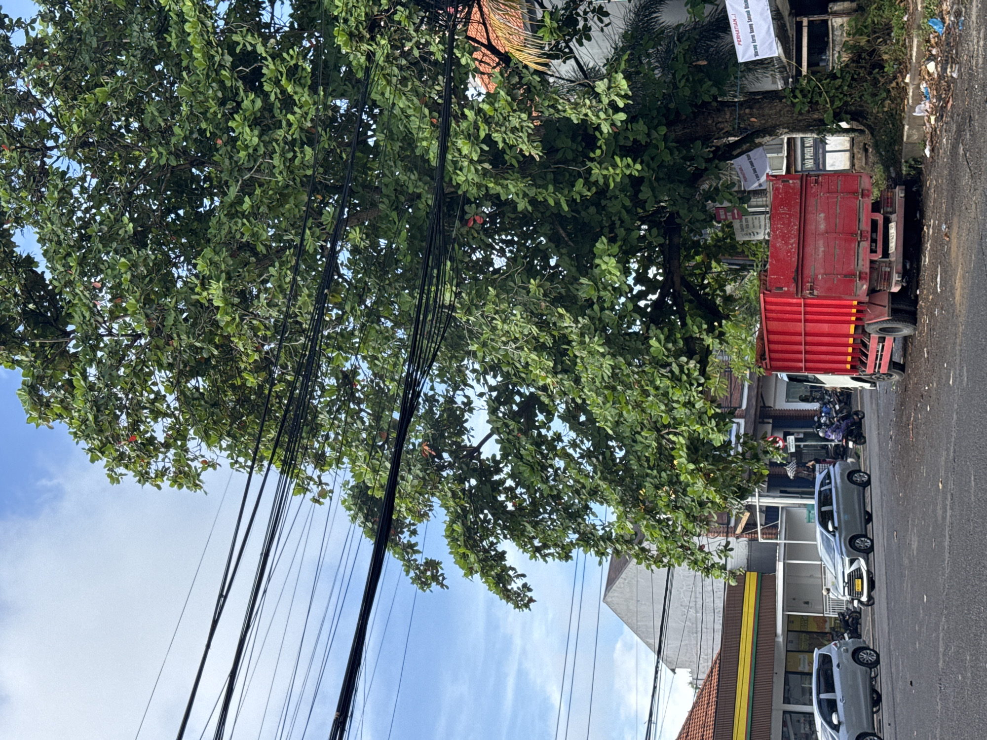 The image captures a vibrant daytime street scene in Kuta Selatan, Indonesia, under a bright blue sky dotted with scattered white clouds. A prominent feature is a large, leafy tree with dense green foliage that dominates the upper and central parts of the frame. Numerous black electrical or communication wires crisscross through the tree branches and extend across the sky, forming a complex network.
Below the tree canopy, a paved road stretches out, showing signs of daily life. A bright red dump truck is parked or stopped on the right side of the road, its red bed detailed with yellow stripes. Adjacent to the truck, a small patch of ground near the buildings shows accumulated litter.
Various buildings with traditional tiled roofs and painted facades line the street. Attached to one building above the red truck is a white banner with black text, partly visible, which reads "PERHATIAN..!" (Attention..!) and "Dilarang keras buang sampah disini" (Strictly forbidden to litter here). Below this, another sign displays "NASI PECAK MASI," likely indicating a food stall or restaurant.
Further down the road, two light-colored (possibly silver or grey) cars, appearing to be MPVs or small SUVs, are parked in a line. Several motorbikes are also visible, parked near the storefronts and buildings. The scene conveys a typical busy street environment in an Indonesian town or city, with clear, sunny weather.