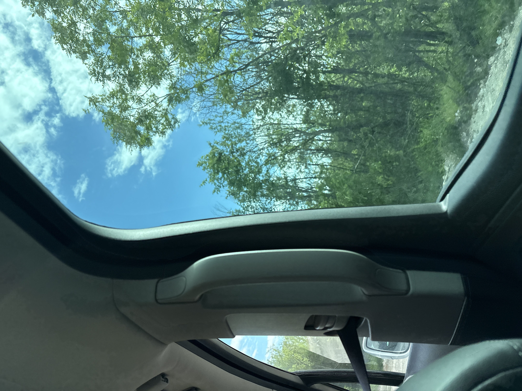 The image shows a view from inside a car, looking up through an open sunroof. The sky is visible with white clouds, interspersed with tree branches and foliage overhead. The interior of the car is visible, including the sunroof frame, a grab handle, a seatbelt, and a portion of the steering wheel. The location is not identifiable as Levski, Bulgaria, based on the provided information.