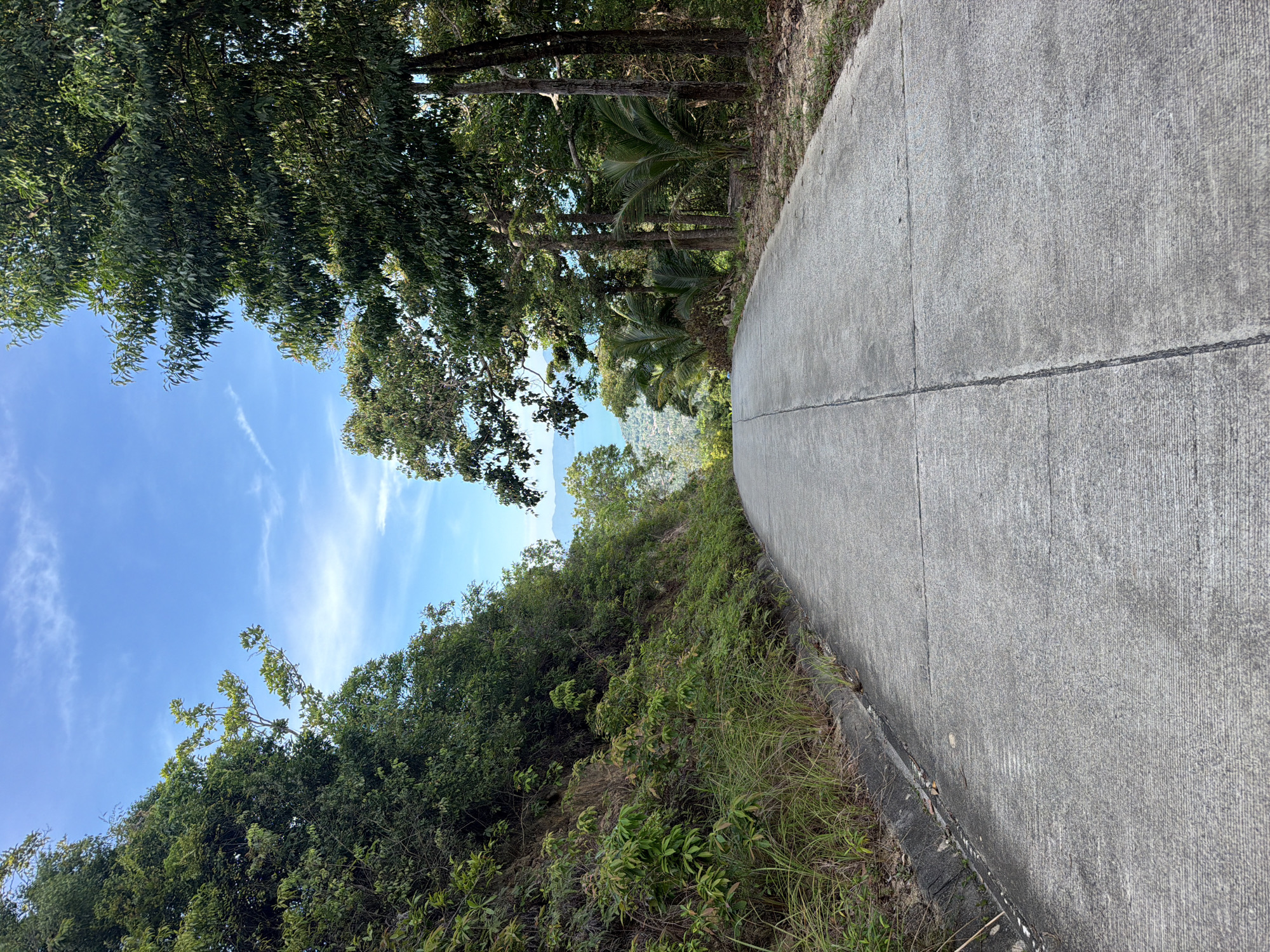 A paved road ascends through a lush, tropical landscape with dense green foliage on either side. The road is a light gray concrete with a visible seam down the center and appears to be slightly damp in places. The vegetation on the left is thick and overgrown, with grasses and smaller plants lining the road's edge. On the right, taller trees, including palm trees, dominate the scene, casting shadows onto the road. In the distance, beyond the trees, glimpses of the ocean and hills can be seen under a bright blue sky with sparse white clouds. The scene is devoid of any people or man-made objects other than the road itself, creating a natural and serene environment. The location is identified as Baan Tai, Thailand.