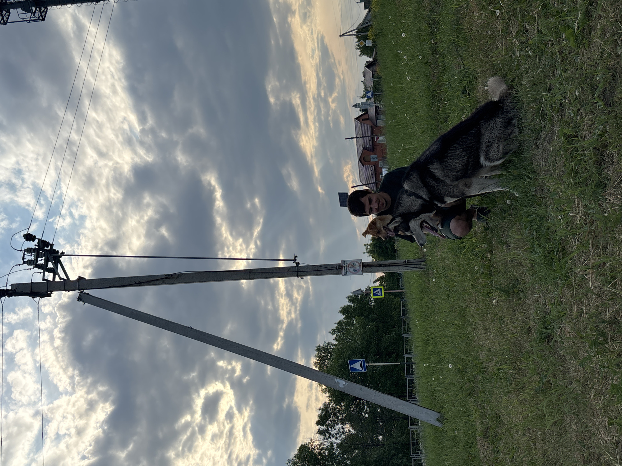 In Vishnevka, Russia, a man is crouching in a grassy field next to a large power pole, with two dogs. One dog, a large husky-type, is sitting to the man's right. The other dog, a smaller tan dog, is positioned in front of the man. The man is wearing a dark t-shirt and dark shorts. In the background, there are trees and houses under a cloudy sky with patches of sunlight. Traffic signs are visible near the power pole.