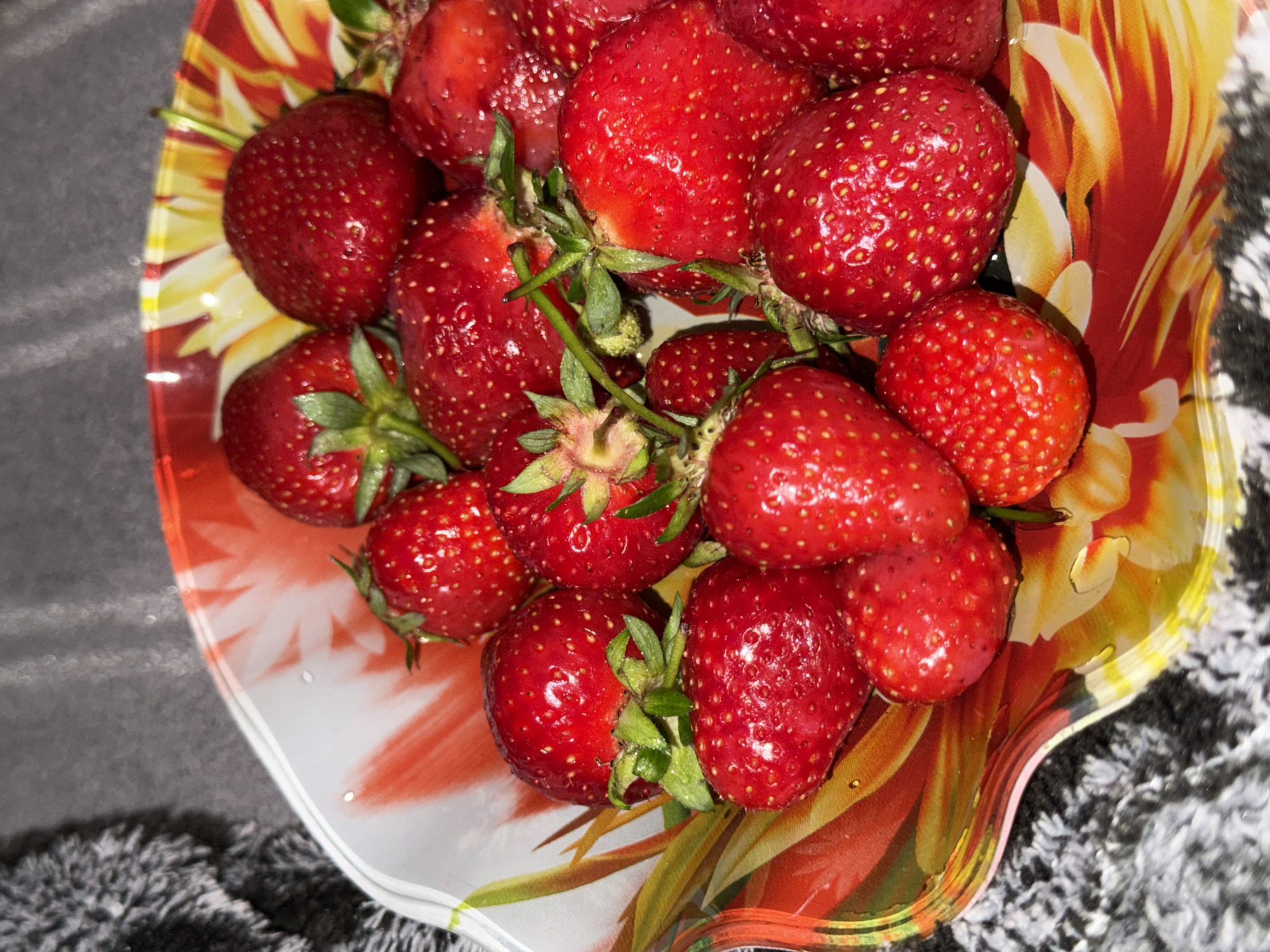 A close-up, overhead shot captures a vibrant red and yellow patterned bowl brimming with fresh, ripe strawberries. The strawberries are a deep, glossy red, many retaining their green caps and short stems, indicating their freshness. Several berries show small water droplets or a natural sheen, suggesting they are newly washed or very juicy. The bowl itself is translucent with a lively, abstract or floral design featuring bold strokes of red, orange, and yellow, reminiscent of sunlit petals. Its rim has a slightly irregular, undulating shape. The entire arrangement rests on a dark, textured surface, possibly a grey or black shaggy rug or blanket, which provides a soft, contrasting background to the bright fruit and colorful dish. The image primarily focuses on the natural beauty and freshness of the strawberries, hinting at a domestic setting where they are prepared for consumption. No people or visible text are present.