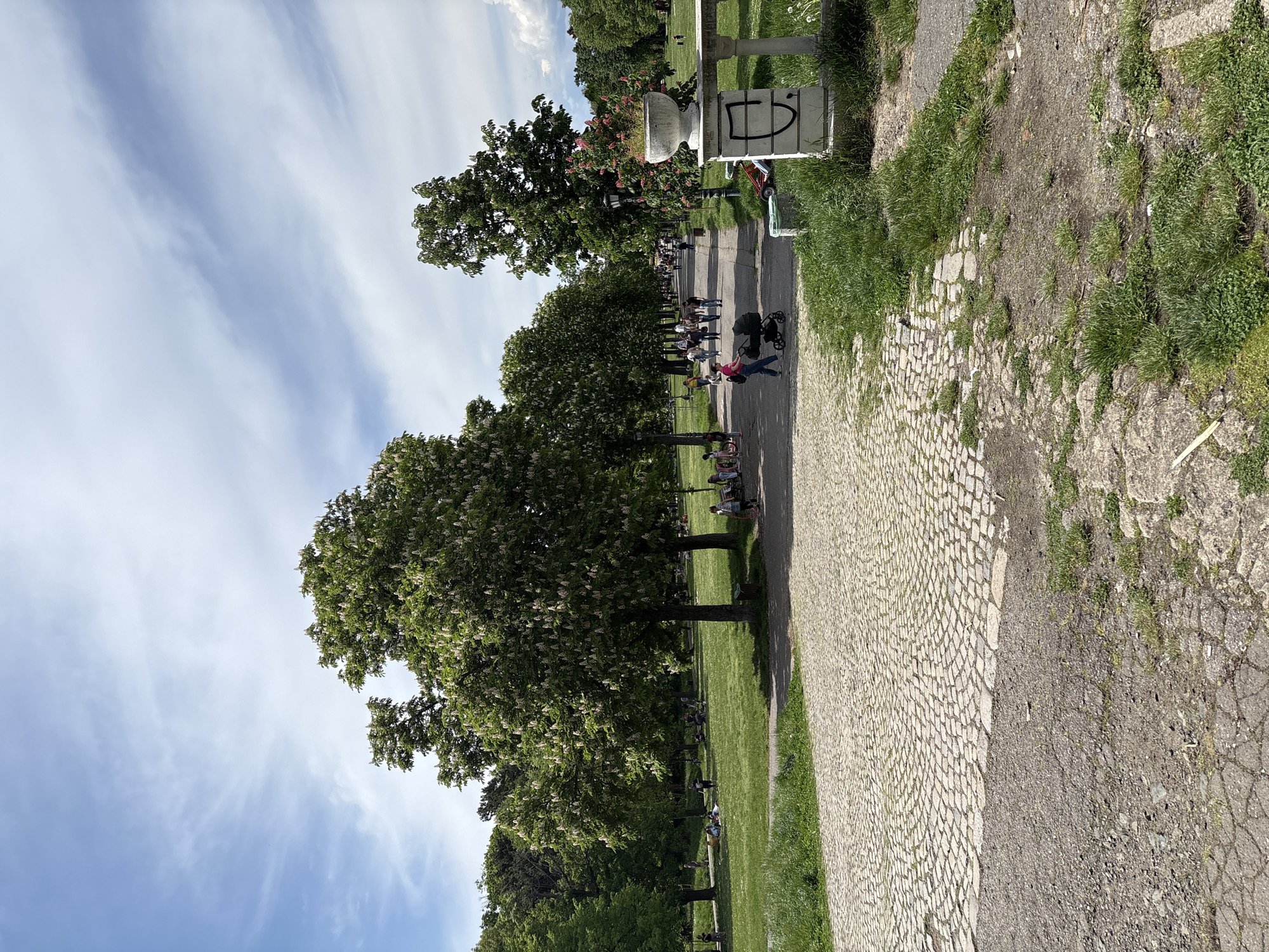 The image shows a park in an unknown city. The park features a paved walkway lined with large trees with green foliage and white blossoms. People are seen walking along the path, some pushing strollers, while others are seated on the grass beneath the trees. The sky is blue with wispy white clouds. A decorative stone planter or signpost stands at the edge of the walkway, with graffiti on its side. The pathway is made of light-colored cobblestones. The background shows the edges of a green lawn and some greenery on the edges of the walkways, further emphasizing the park's natural environment.