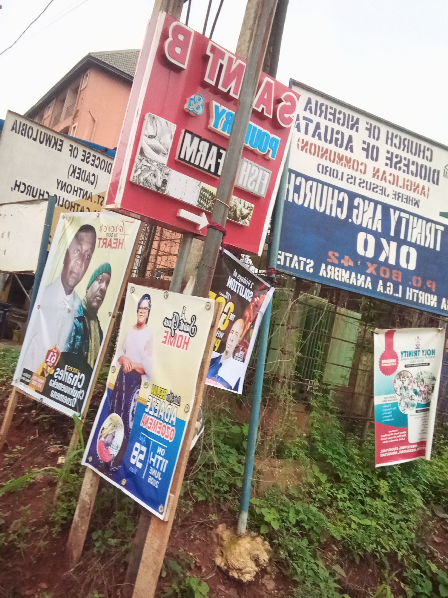 The image shows a collection of signs and banners in Oko Town, Nigeria. The signs are attached to poles and are a mix of red, white, and blue. Some of the signs have text in English, and others appear to be in a local language. One sign, in particular, features a red background with white text that reads "B T A S Y POULTRY FARM." Another sign, blue and white, reads "TRINITY AND CHURCH OKO." Several posters are also visible, one featuring two men, another a woman, and others with text and images related to events or services. The environment is overgrown with vegetation, suggesting it might be an outdoor area or a neglected space.