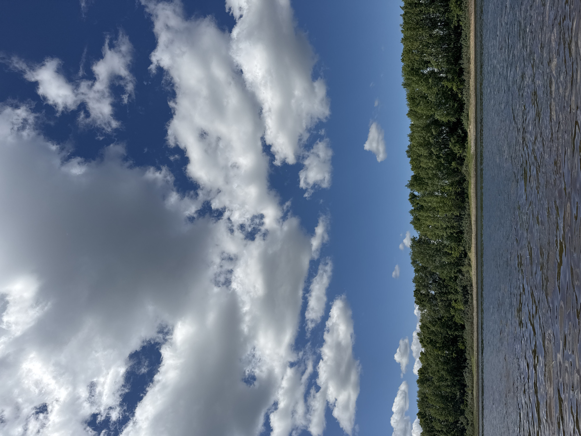 The image shows a wide body of water in the foreground, with gentle ripples reflecting the sky. A line of dense green trees forms the background, with a sandy bank visible between the water and the trees. Above the treeline, a bright blue sky is filled with a variety of white and gray clouds. The scene depicts a natural landscape, likely a riverbank or lakefront, under a partly cloudy sky. The location is the Kama River in Chaikovsky, Russia.