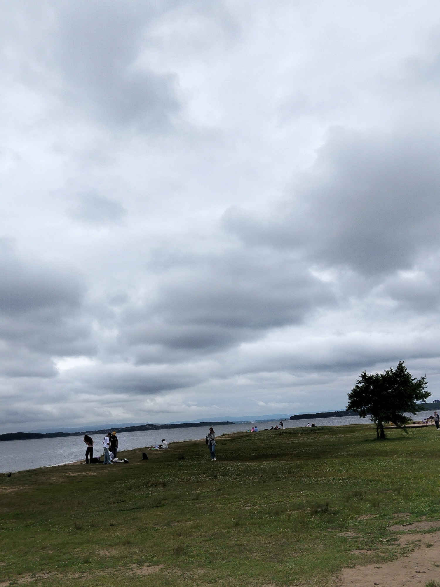 A wide shot captures a cloudy day at a waterfront park in Vladivostok, Russia. The sky is filled with thick, grey clouds, obscuring the sun. In the foreground, a grassy slope leads down to a body of water, likely the Amur Bay. Several groups of people are scattered across the park and along the shoreline. On the left side of the frame, a group of four individuals stands near the water's edge, some appearing to be interacting. Further along the shore, a lone individual sits on the grass. On the right side of the frame, a prominent, solitary tree stands on a grassy knoll, overlooking the water. In the distance, the opposite shore of the Amur Bay is visible, with faint outlines of hills and buildings. The overall atmosphere is subdued, possibly due to the overcast weather.