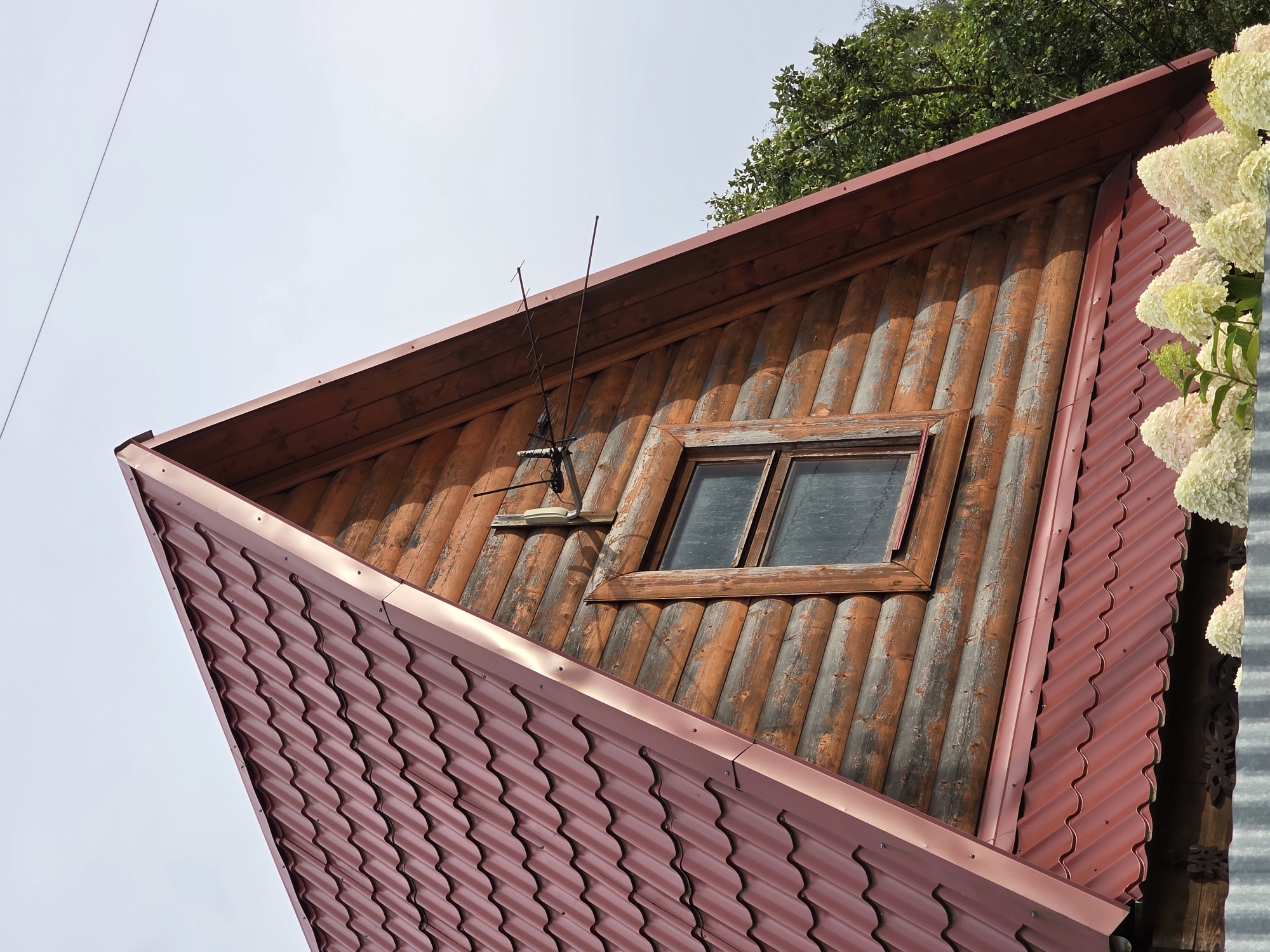 The image shows a close-up of the gable end of a log cabin with a red metal roof. The logs are weathered and show some signs of peeling paint. A small, rectangular window with a wooden frame is visible on the gable. An old-fashioned television antenna is mounted on the side of the cabin, extending outwards. A second, lower section of the red metal roof is visible at the bottom of the image, with a decorative wooden fascia. In the foreground, a metal fence is partially visible, and in front of it are clusters of white hydrangea flowers. A tree with green foliage is seen to the right of the cabin. The sky is overcast. The location is identified as Rechitsy, Russia.