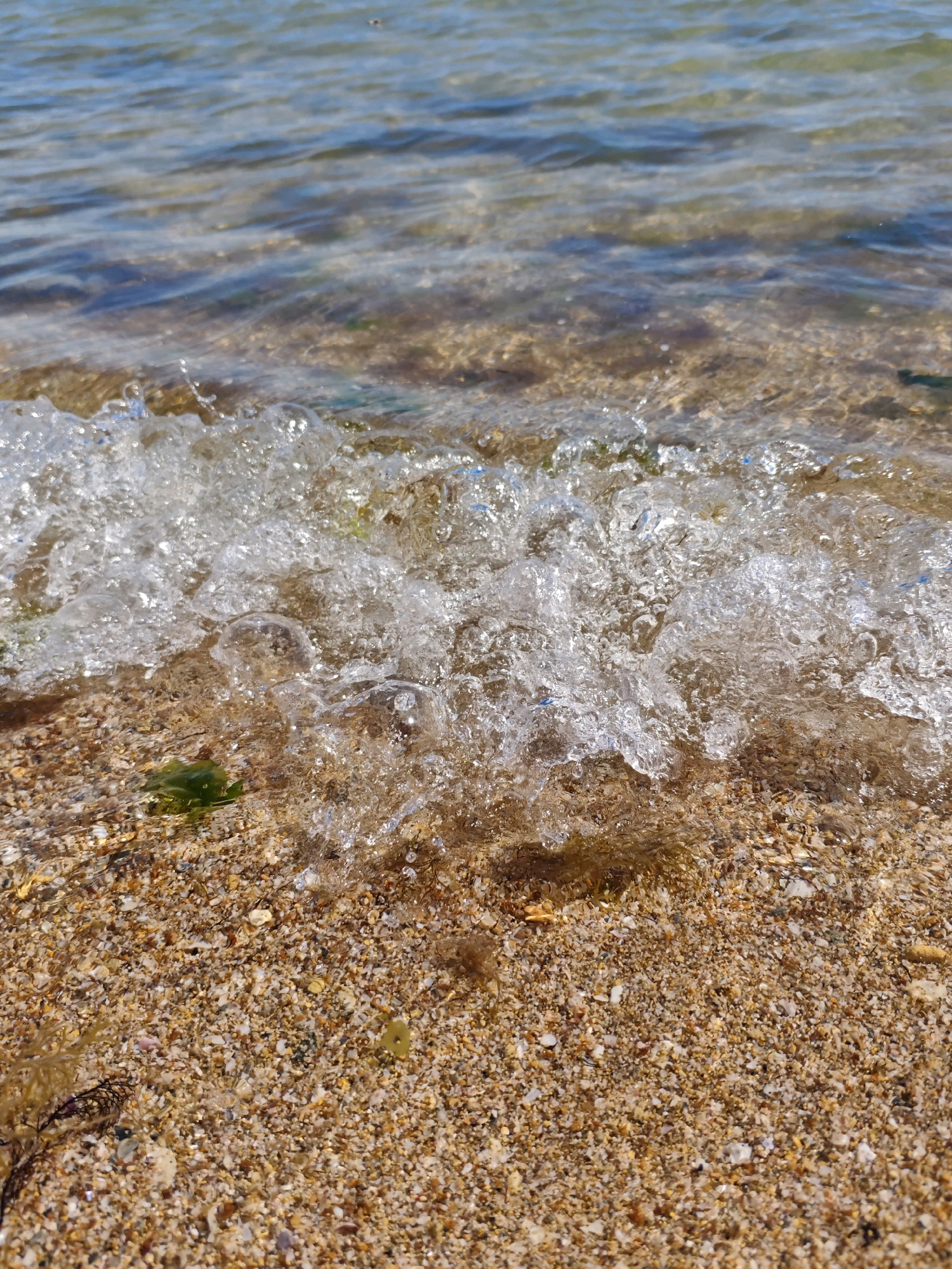 The image shows a close-up of a wave breaking on a sandy beach. The water is clear and shallow, revealing the sandy bottom littered with small shells and pebbles. The wave itself is frothy and appears to be catching the sunlight, creating a shimmering effect. A few small pieces of green seaweed are visible on the sand. The background shows the gentle ripples of the sea under a bright sky. The scene is devoid of any people or man-made objects, suggesting a natural coastal environment. This scene is representative of the beaches found in Yevpatoriya, Ukraine, a city known for its numerous sandy beaches along the Black Sea coast.