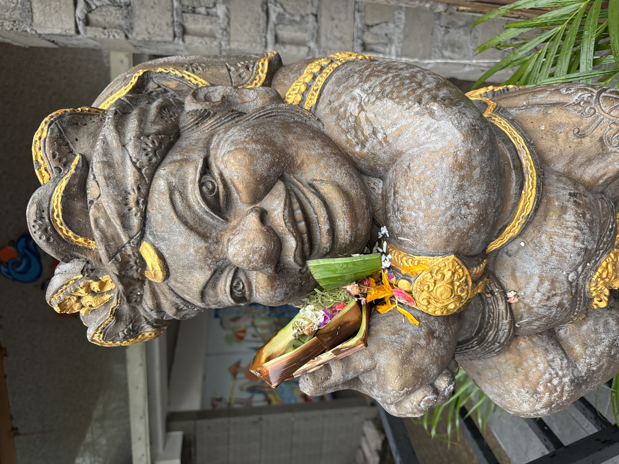 The image captures a large, ornate stone statue of a mythical or guardian figure, presented in a vertical orientation. The statue exhibits a weathered, bronze-like finish with prominent gold embellishments highlighting its headwear, armbands, and chest decorations. Its face features expressive eyes, a distinct nose, and a gentle, slightly grinning expression, conveying a benevolent or playful demeanor.
A traditional Balinese offering, resembling a 'Canang Sari,' is carefully placed near the statue's mouth or chin. This offering comprises fresh green leaves, an assortment of colorful flowers (white, yellow, pink, purple), and other small items, all contained within a folded leaf vessel, signifying a devotional ritual common in Kuta, Indonesia.
The statue is situated outdoors, likely in a garden or temple environment. In the background, a wall constructed from gray, rough-textured stone or brick is visible. Lush green foliage, specifically palm fronds, frames the right side of the statue, indicative of a tropical setting. Faint glimpses of a colorful mural or painting can be seen in the distant background, partially obscured by the statue. The lighting is soft and diffused, suggesting it is daytime, possibly under an overcast sky or in a shaded area. The scene evokes a sense of cultural and spiritual reverence. There is no visible text in the image.